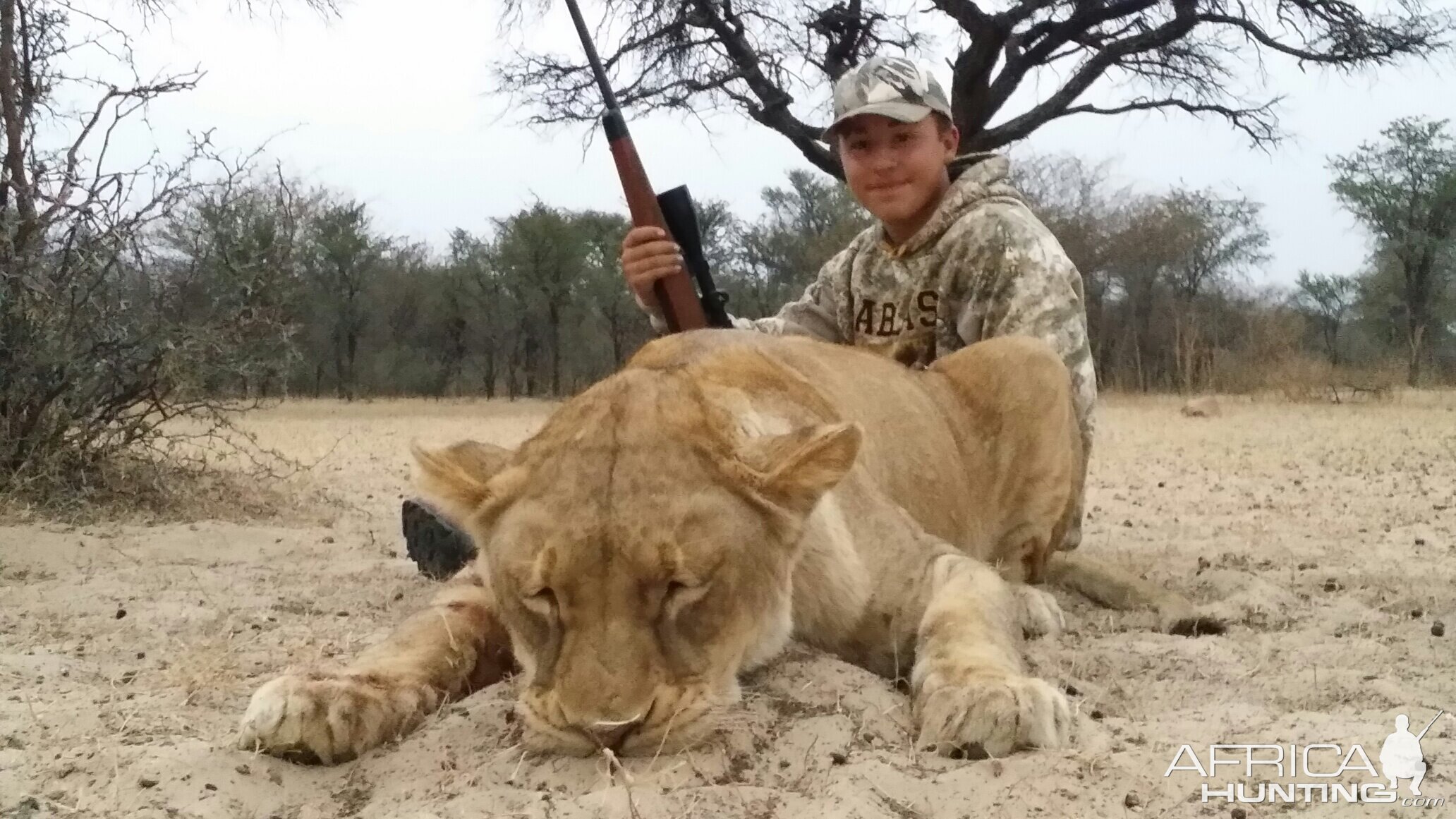 Lioness Hunt in South Africa