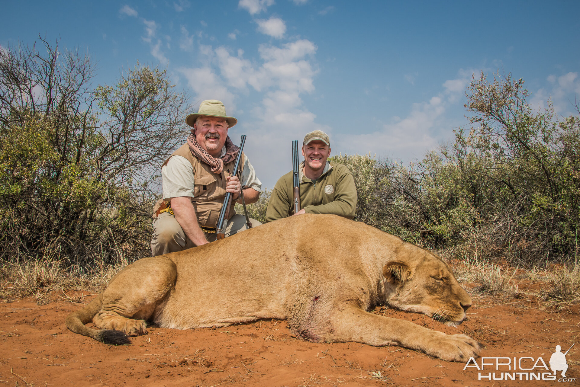 Lioness Hunt in South Africa