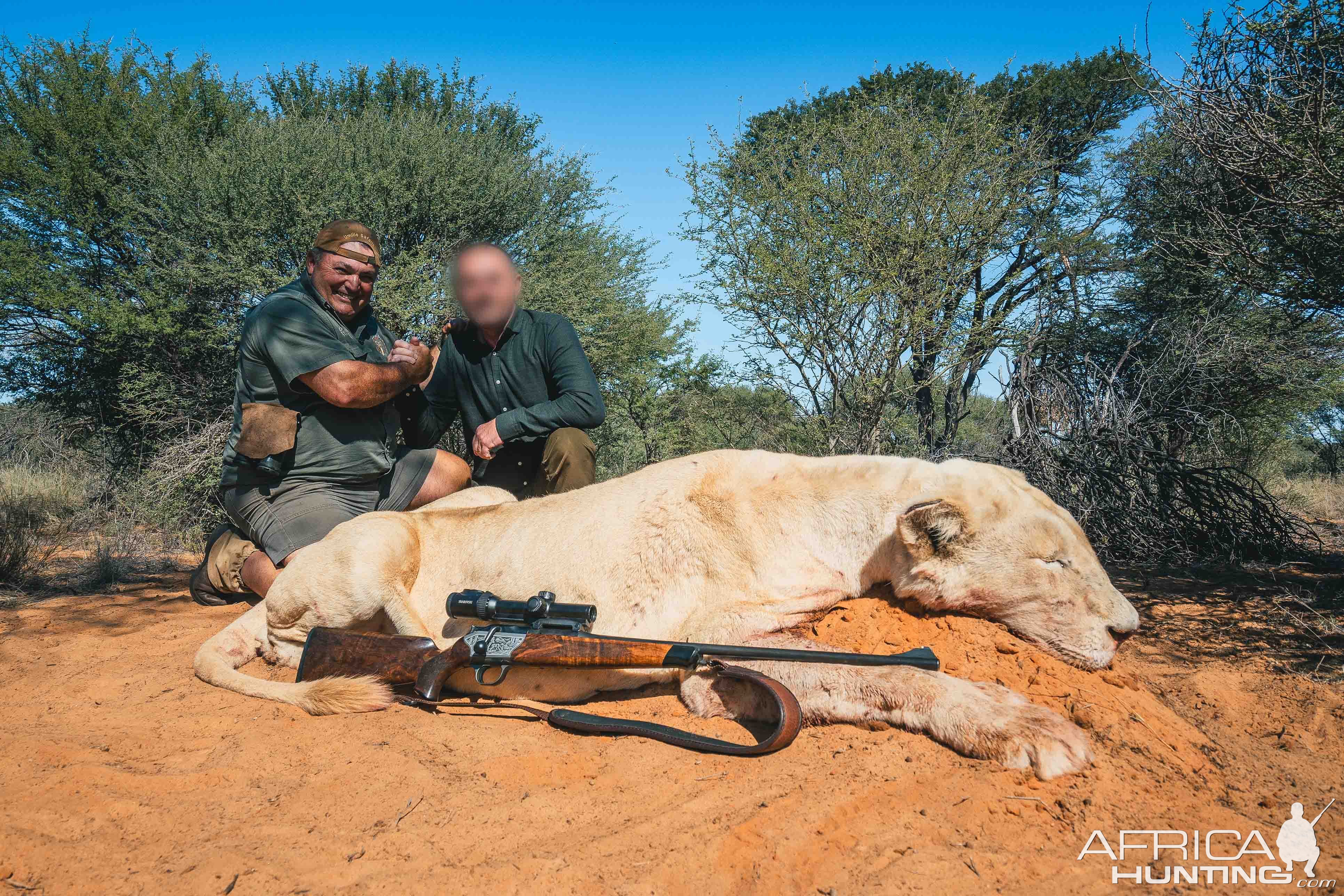 Lioness Hunt South Africa