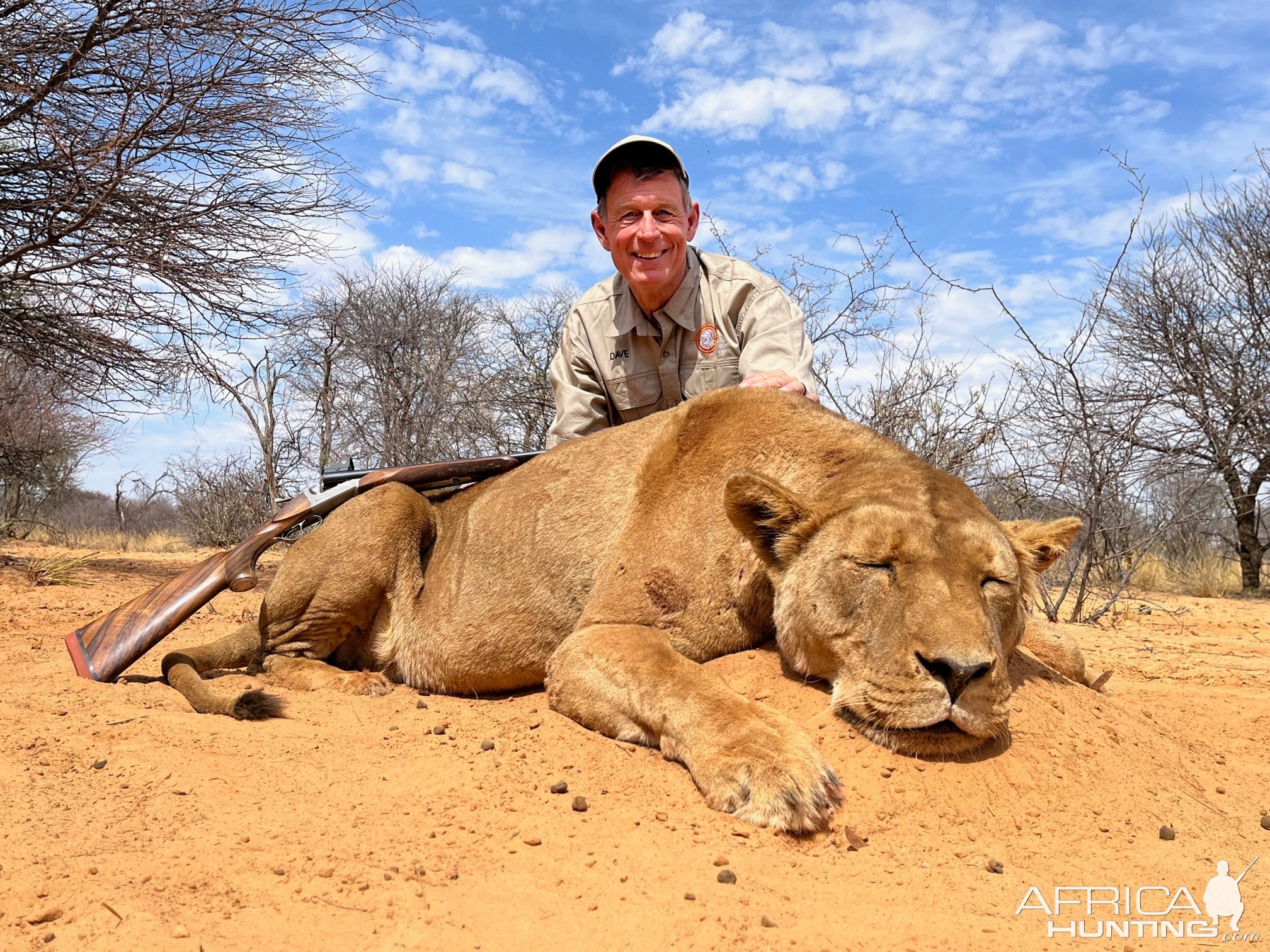 Lioness Hunt South Africa