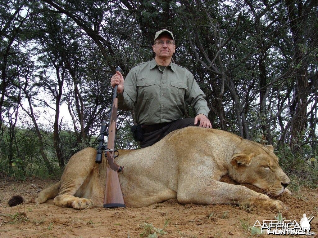 Lioness Hunt South Africa