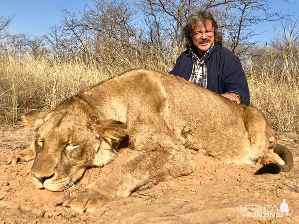 Lioness Hunt South Africa