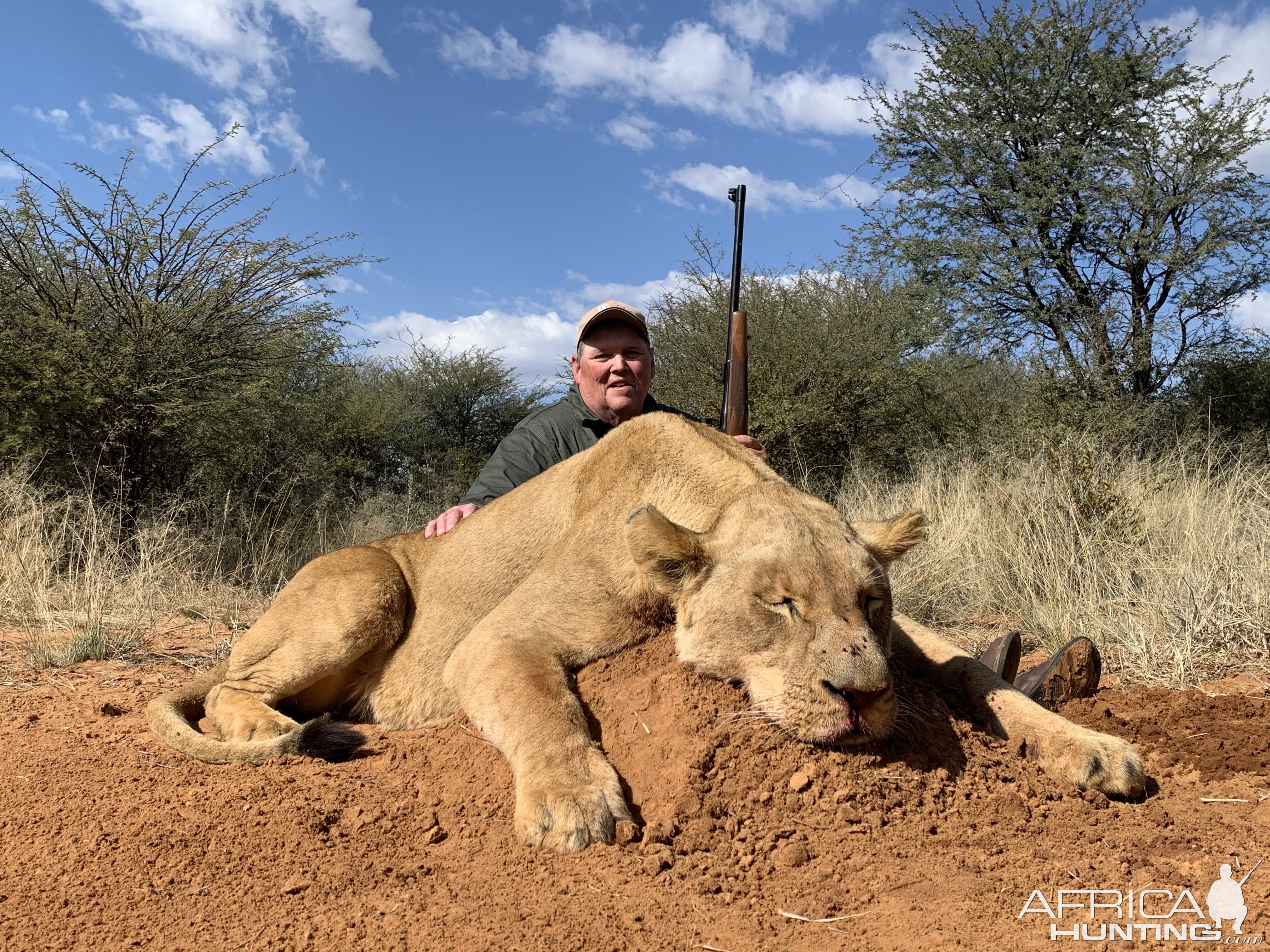 Lioness Hunt