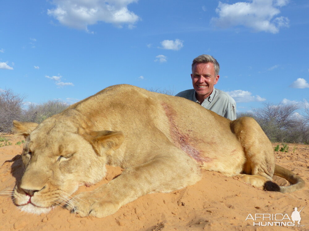 Lioness Hunting in South Africa