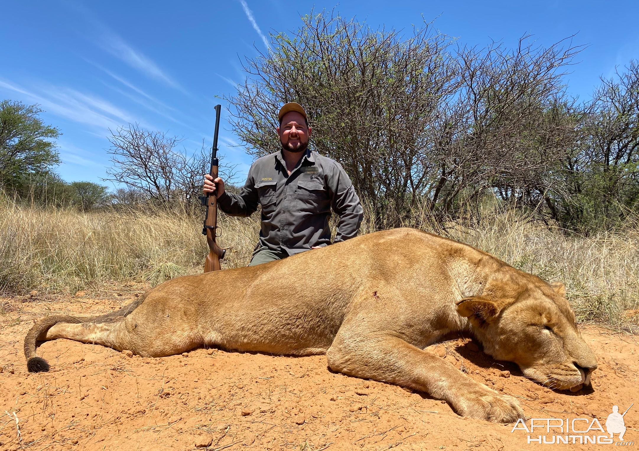 Lioness Hunting South Africa