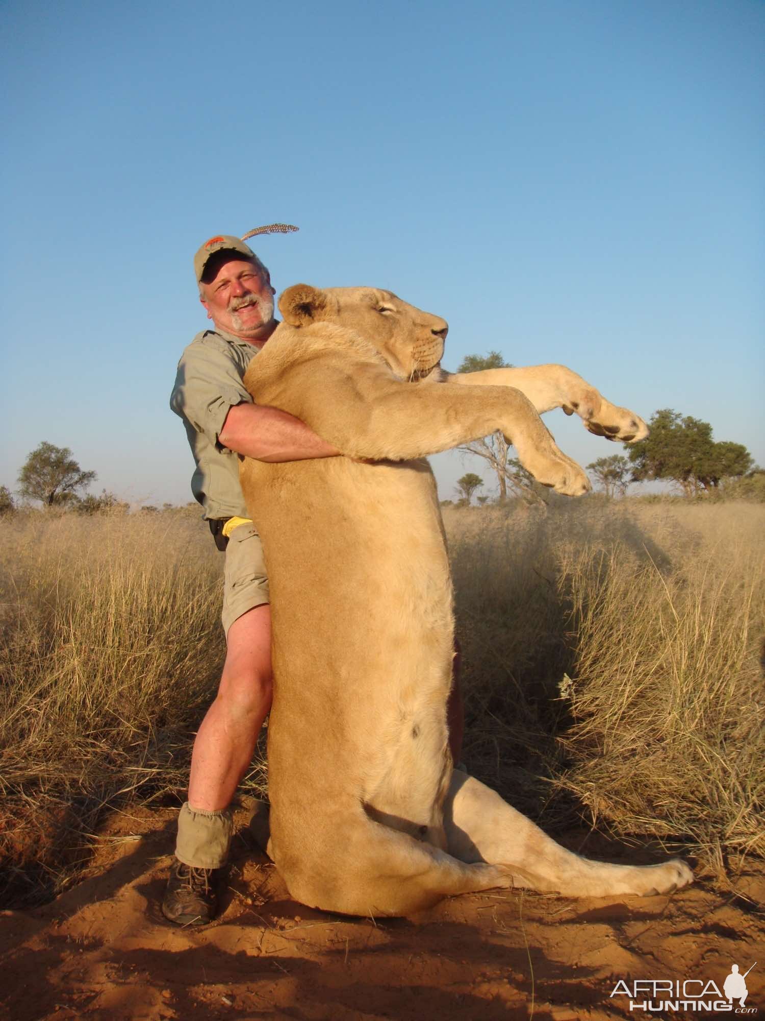 Lioness Hunting South Africa