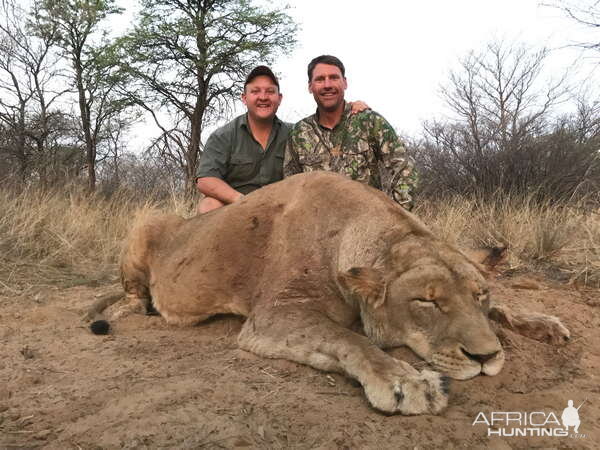 Lioness Hunting South Africa