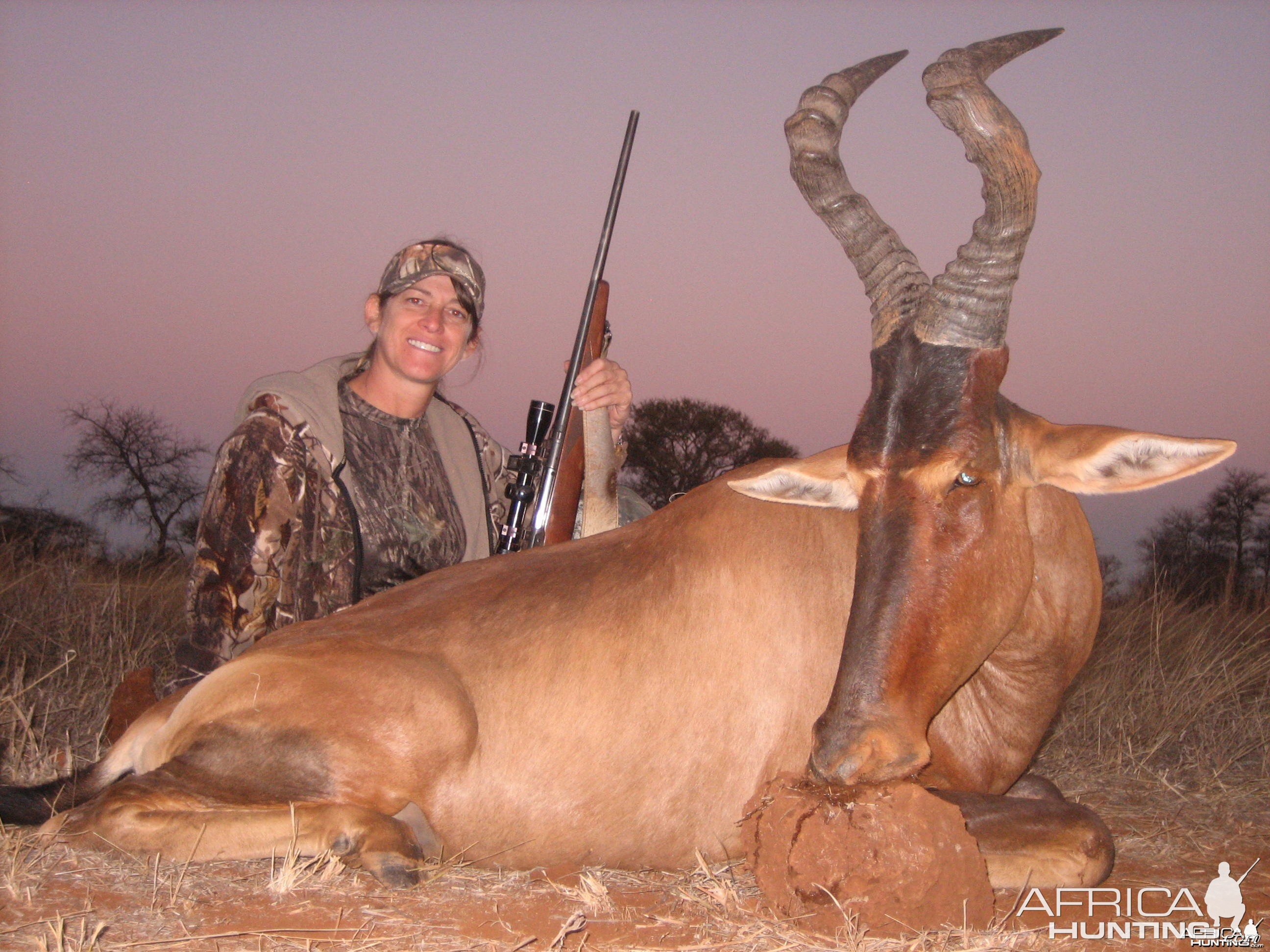 Lisa's Red Hartebeest. Limcroma Safaris 2009