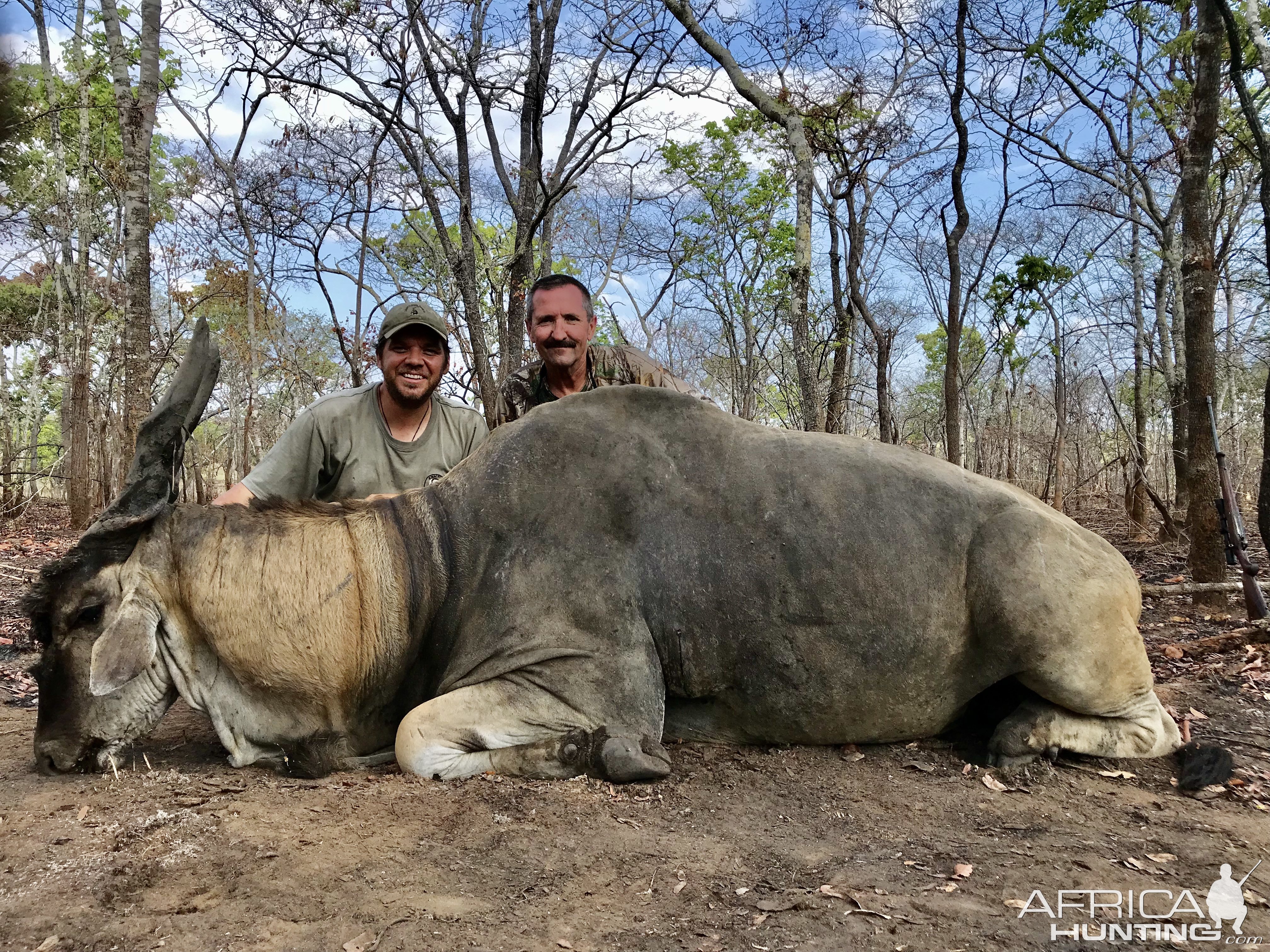 Livingston Eland Kwalata safaris, Mozambique