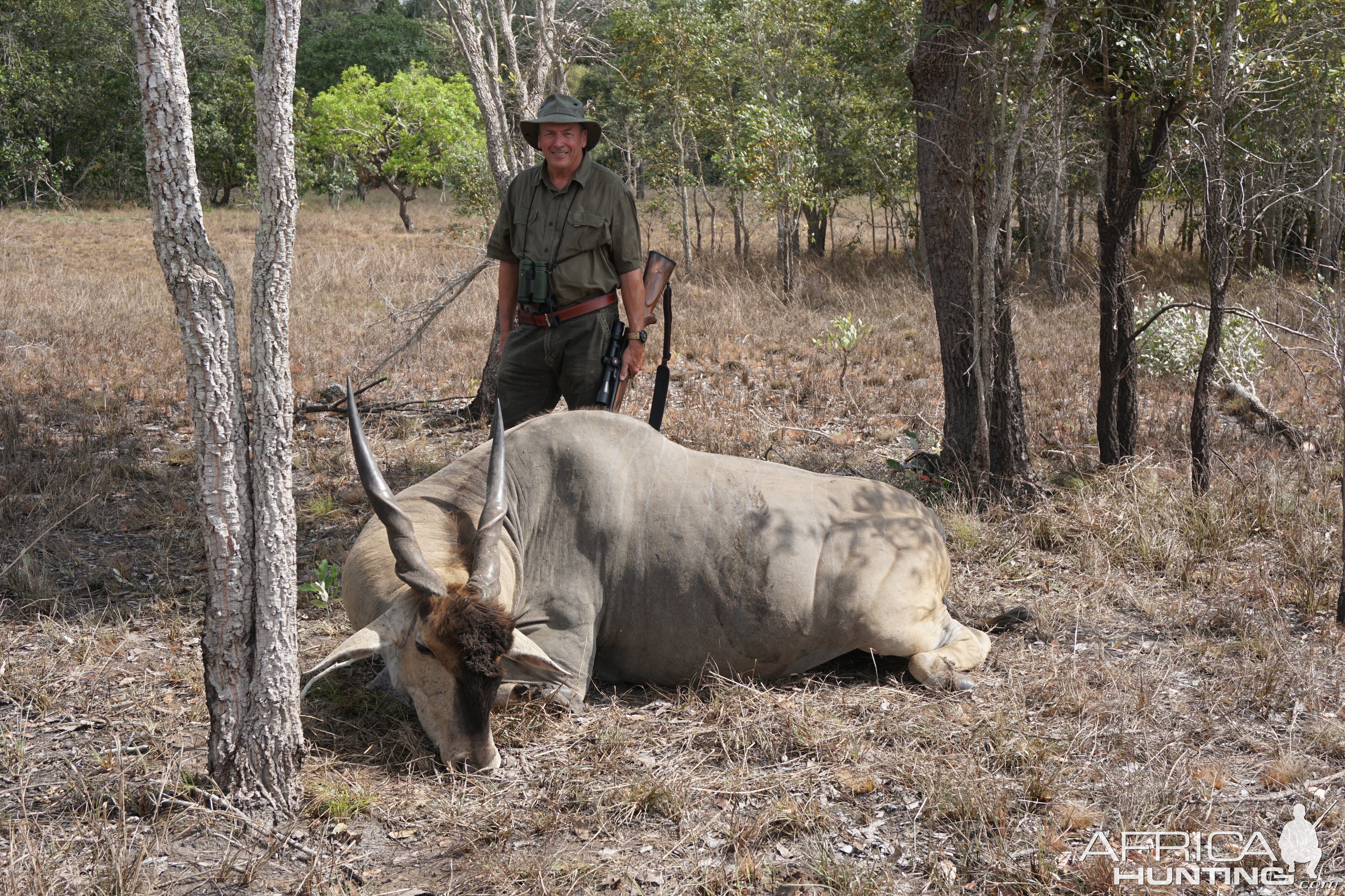 Livingstone Eland - Mozambique