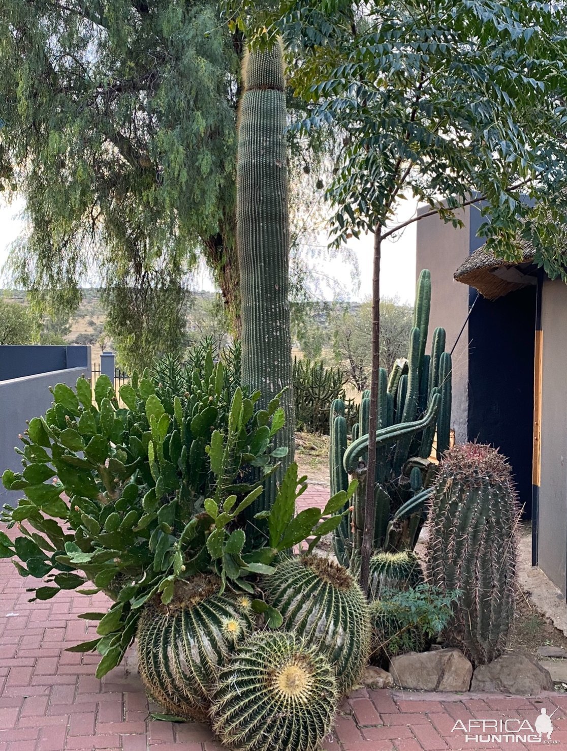 Lodge Khomas Hochland Namibia April 2024