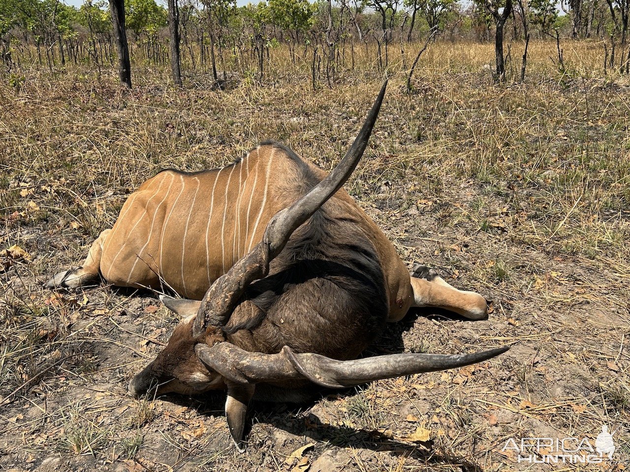 Lord Derby Eland Hunt Cameroon