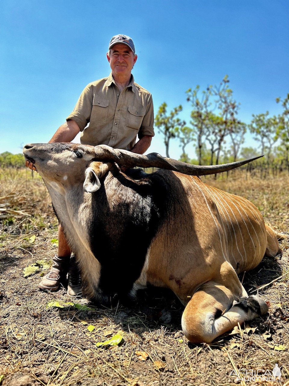 Lord Derby Eland Hunt Cameroon