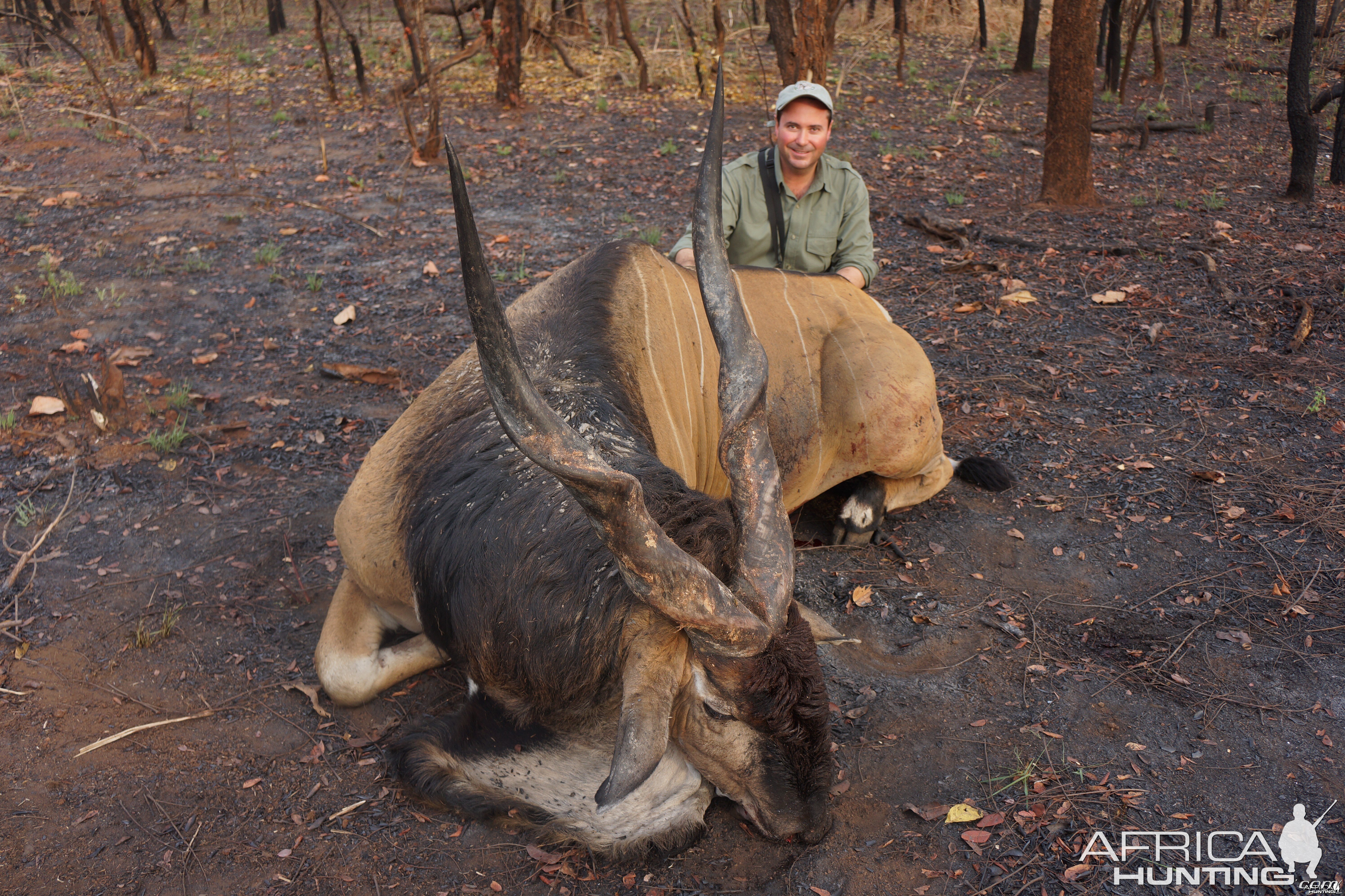 Lord Derby Eland hunt with CAWA in CAR