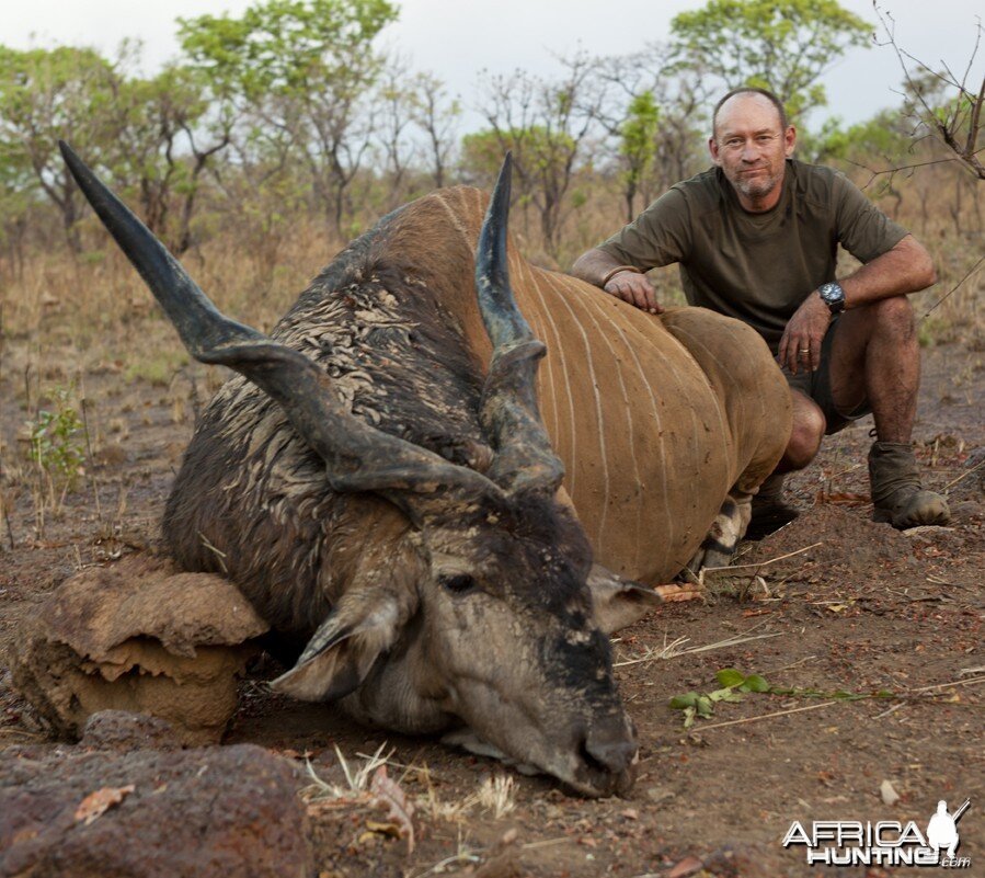 Lord Derby Eland hunted in CAR with CAWA