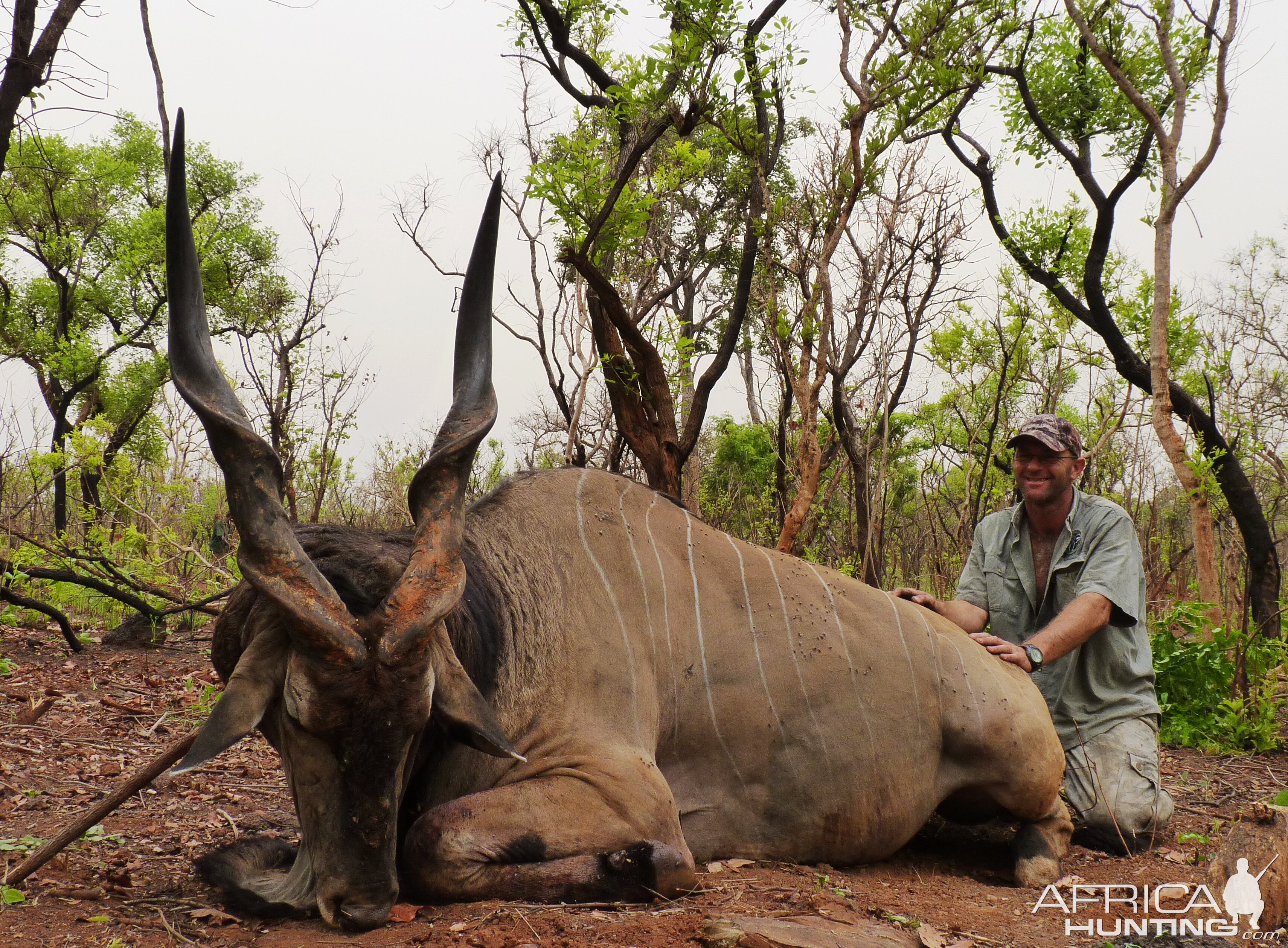 Lord Derby Eland hunted in CAR