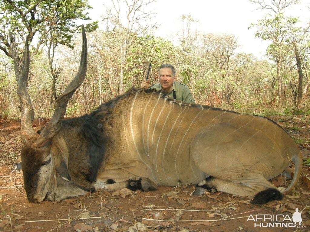 Lord Derby Eland hunted in Central Africa with Club Faune