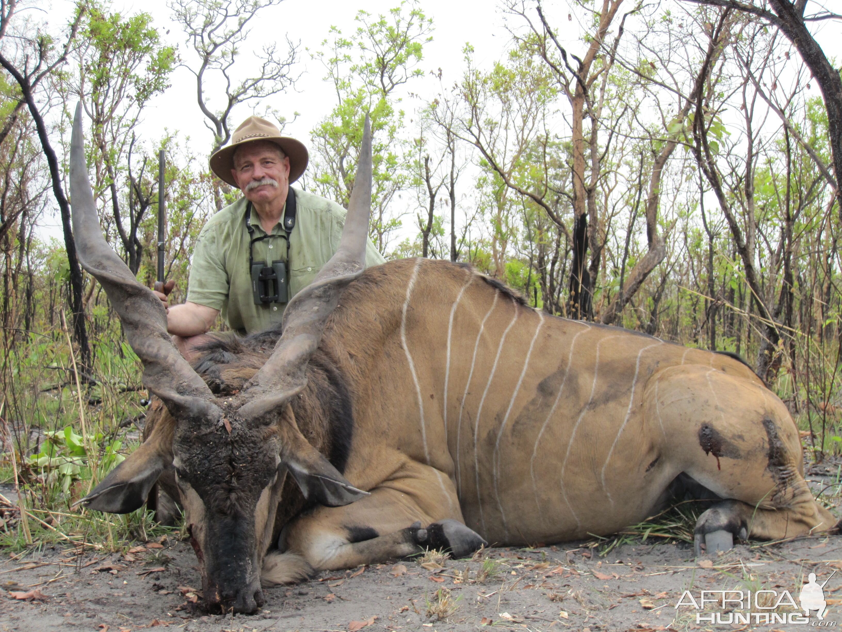 Lord Derby Eland hunted in Central Africa with Club Faune