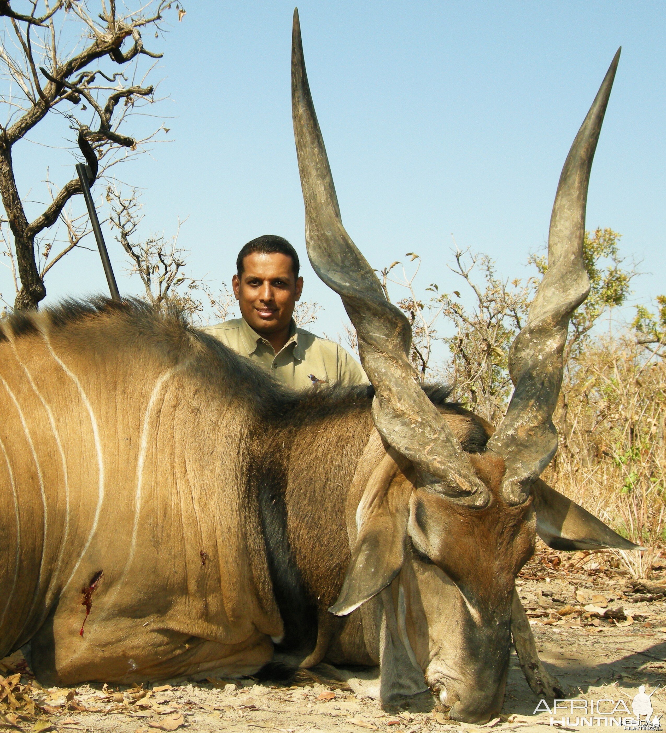 Lord Derby Eland hunted in Central Africa with Club Faune