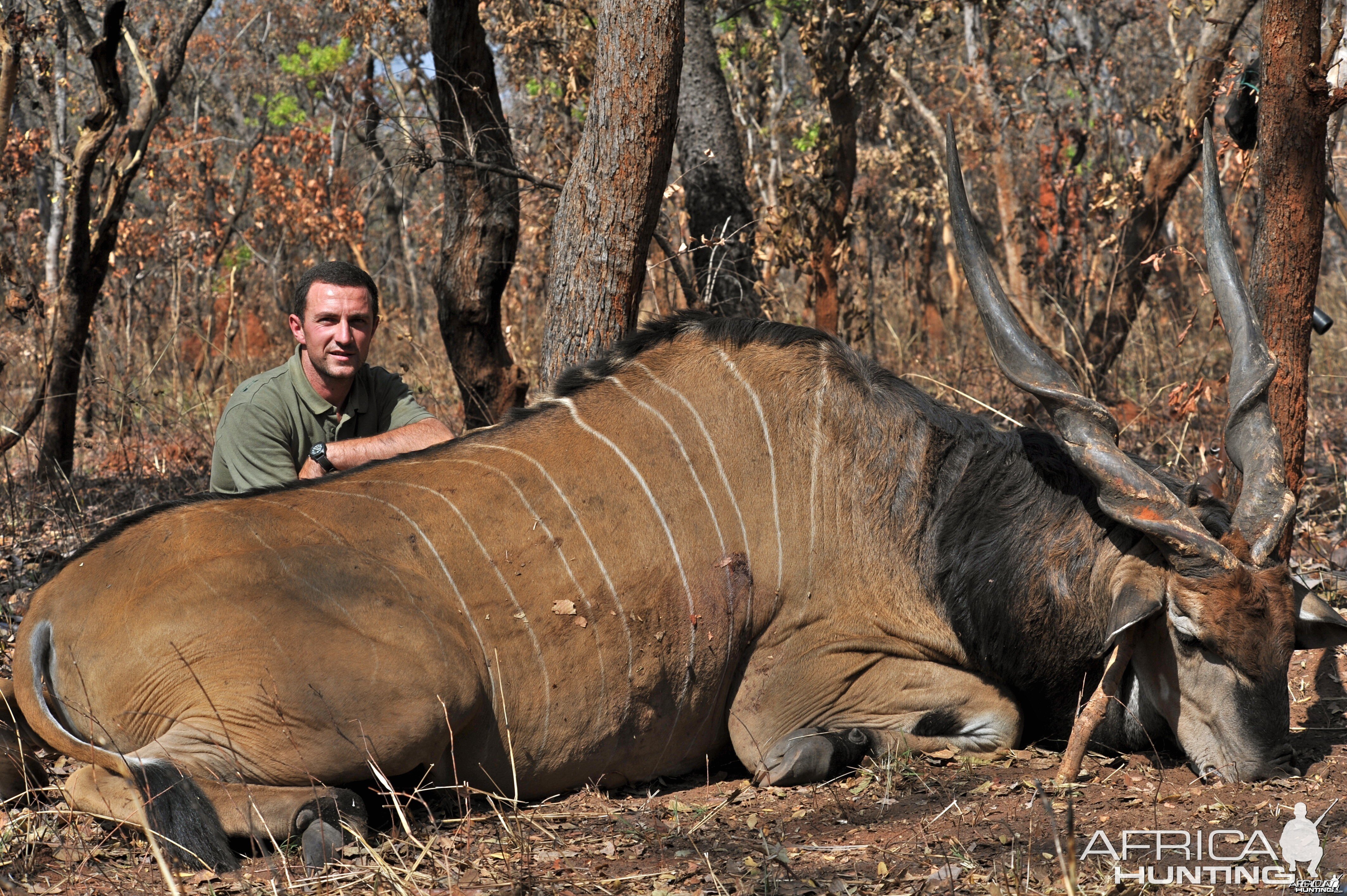 Lord Derby Eland hunted in Central Africa with Club Faune