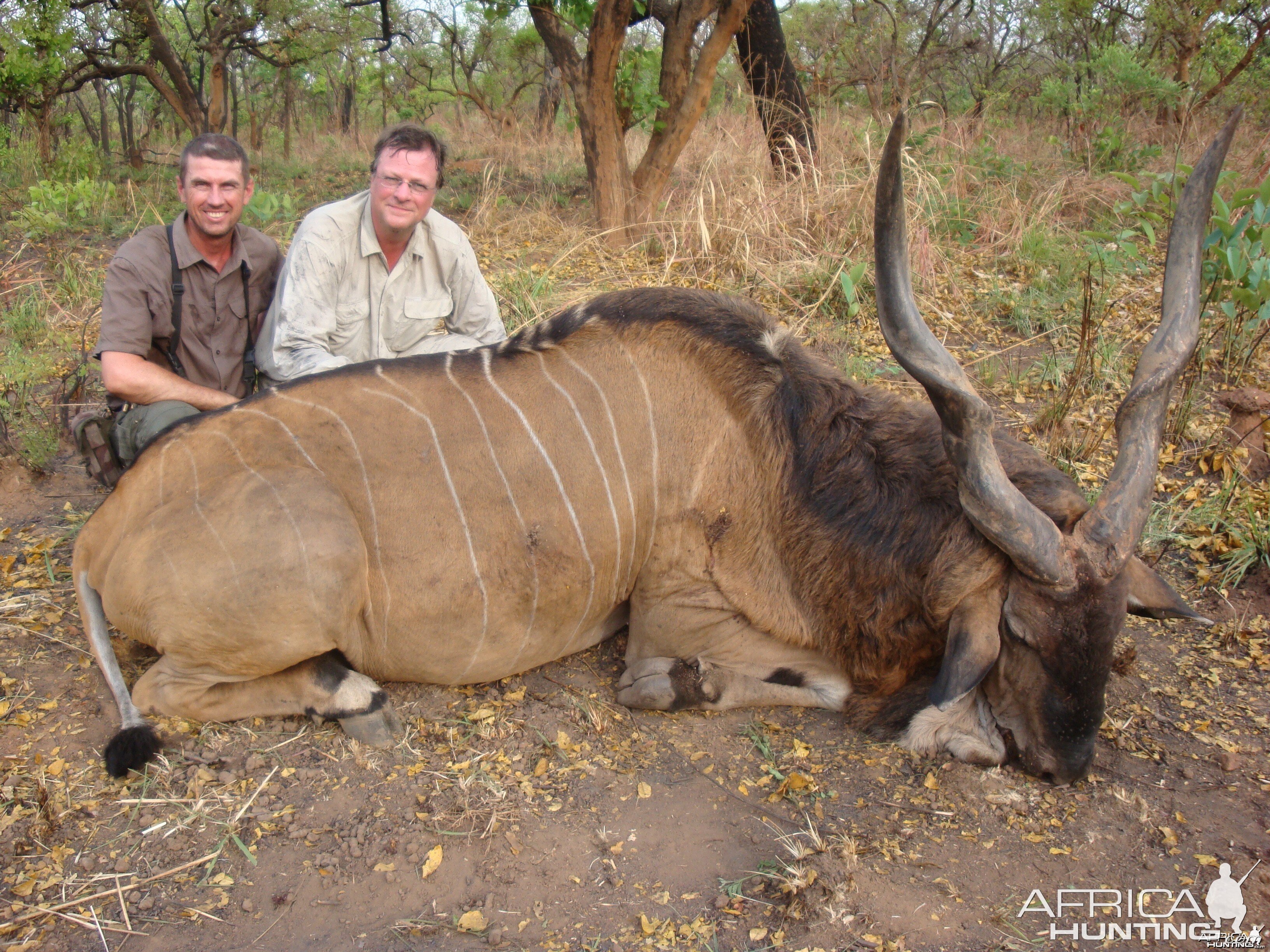 Lord Derby Eland hunted in Central African Republic with CAWA