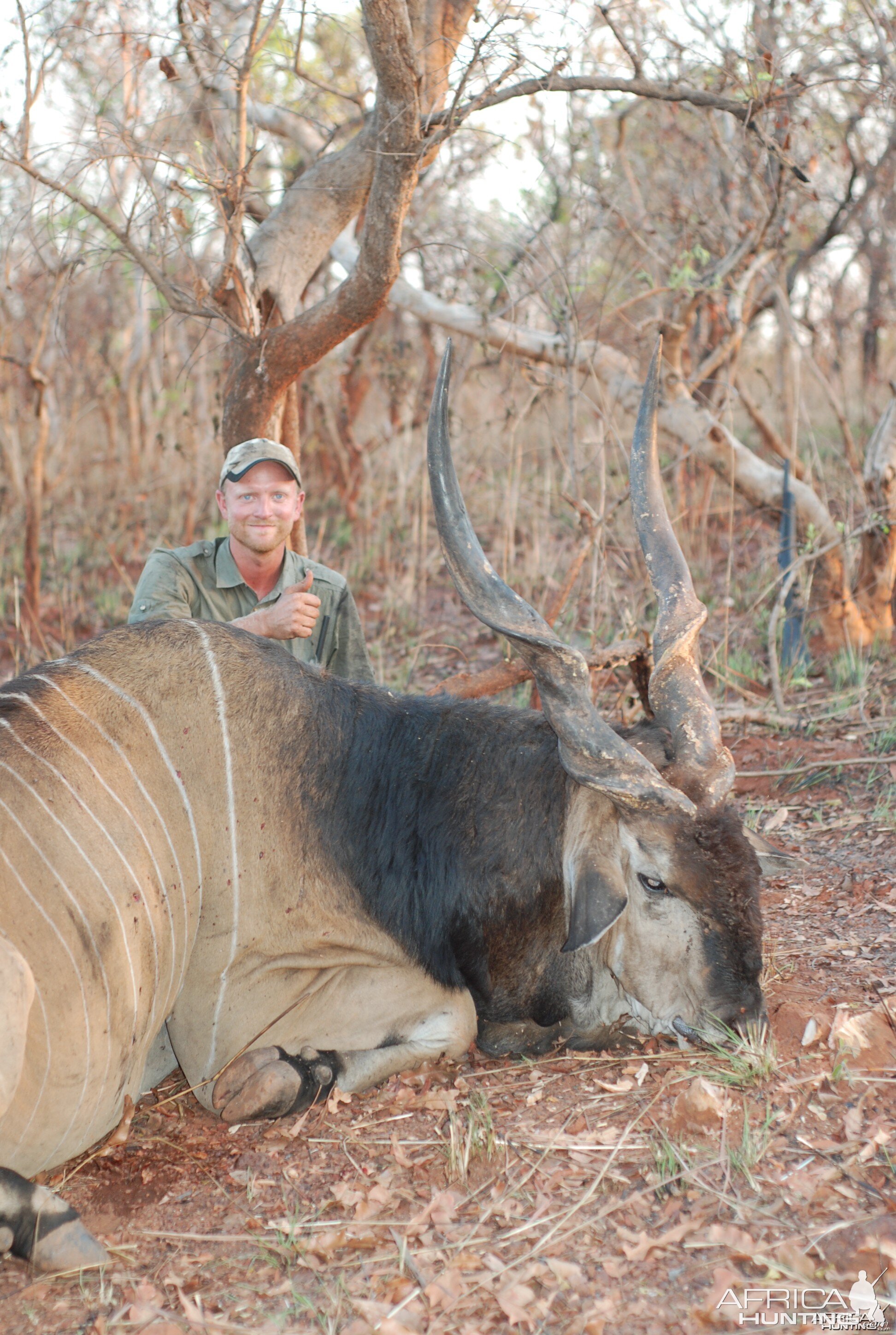 Lord Derby Eland hunted in Central African Republic with CAWA