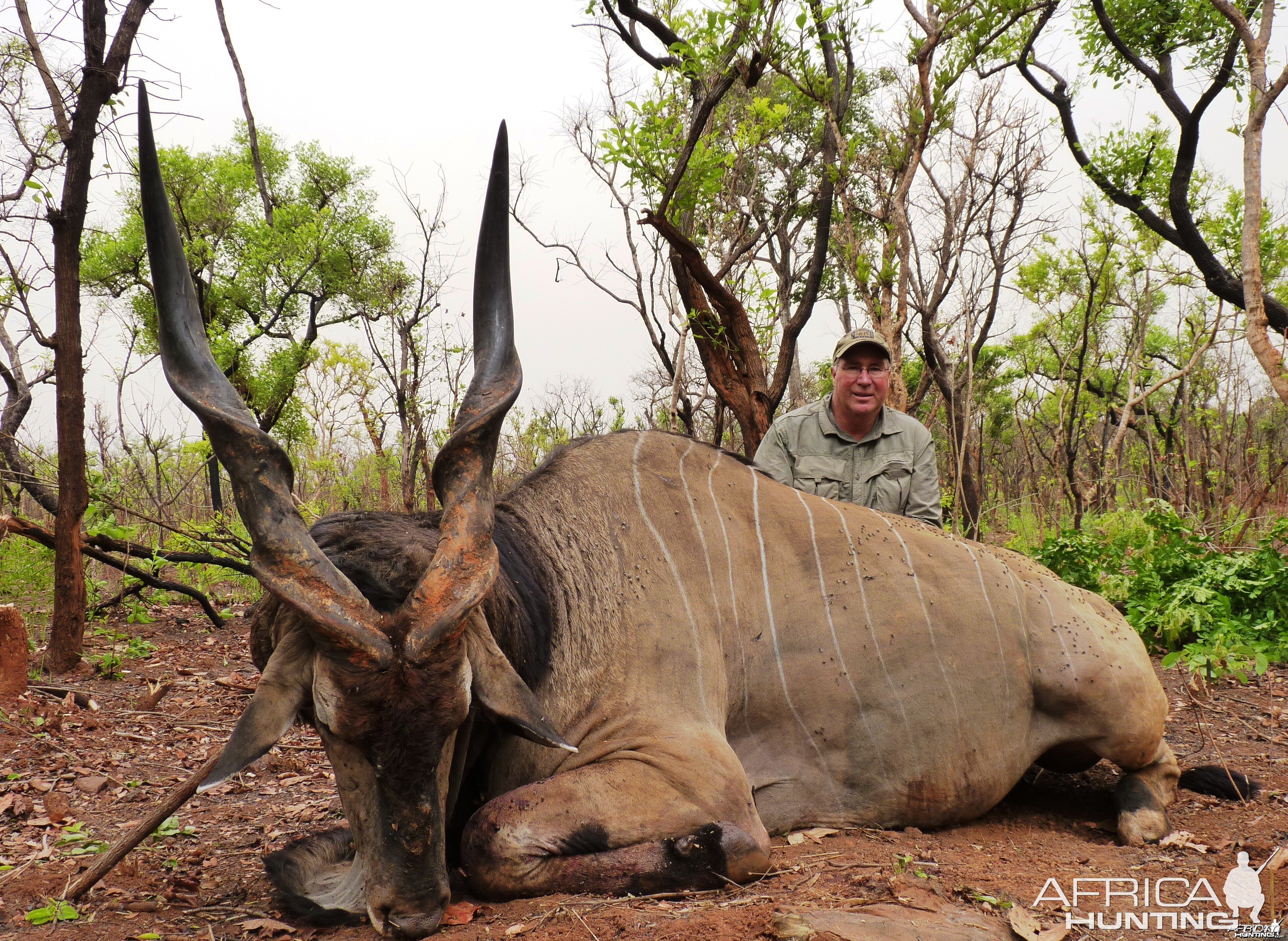 Lord Derby Eland hunted in Central African Republic with CAWA