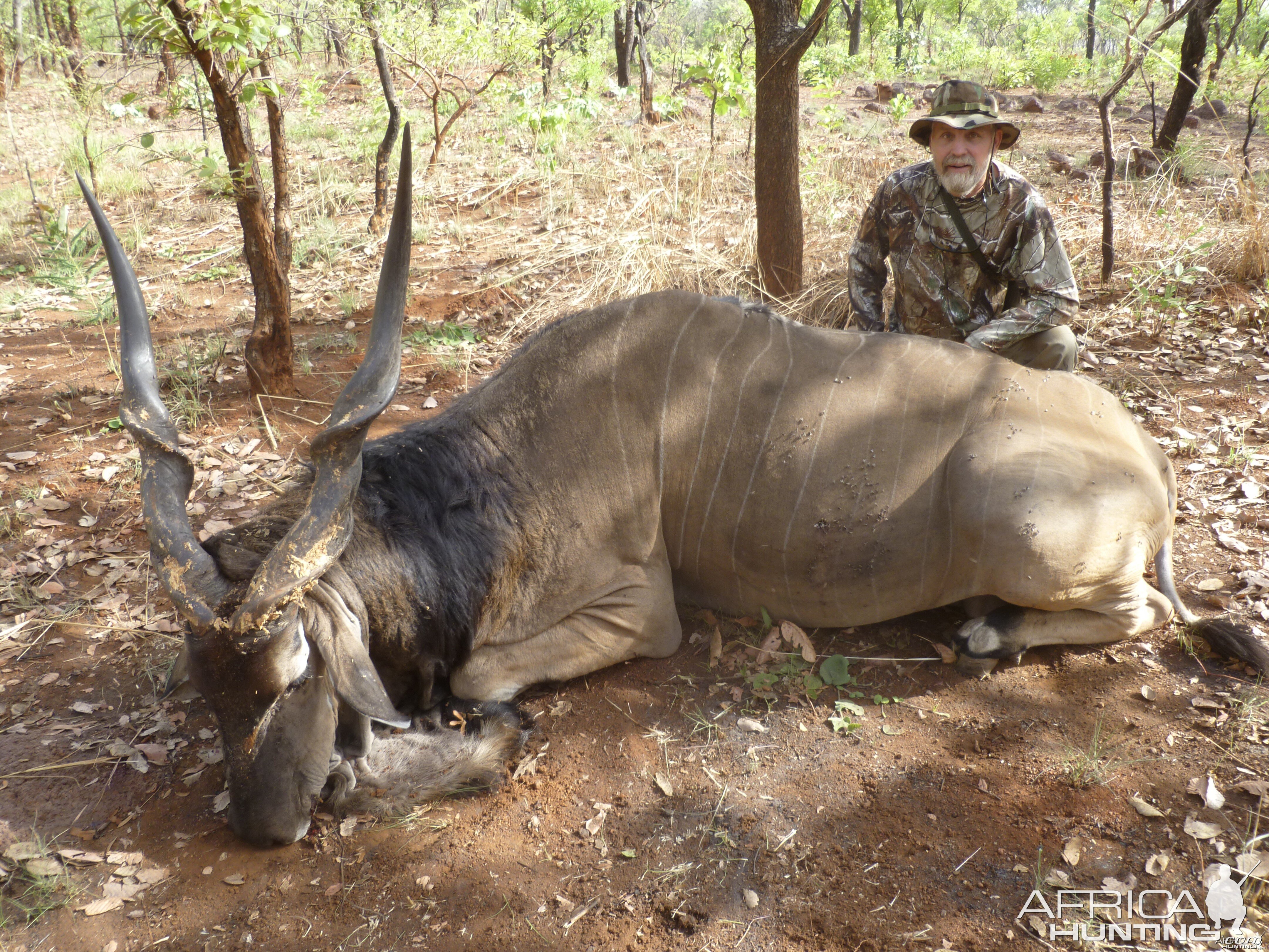 Lord Derby Eland hunted in Central African Republic with CAWA