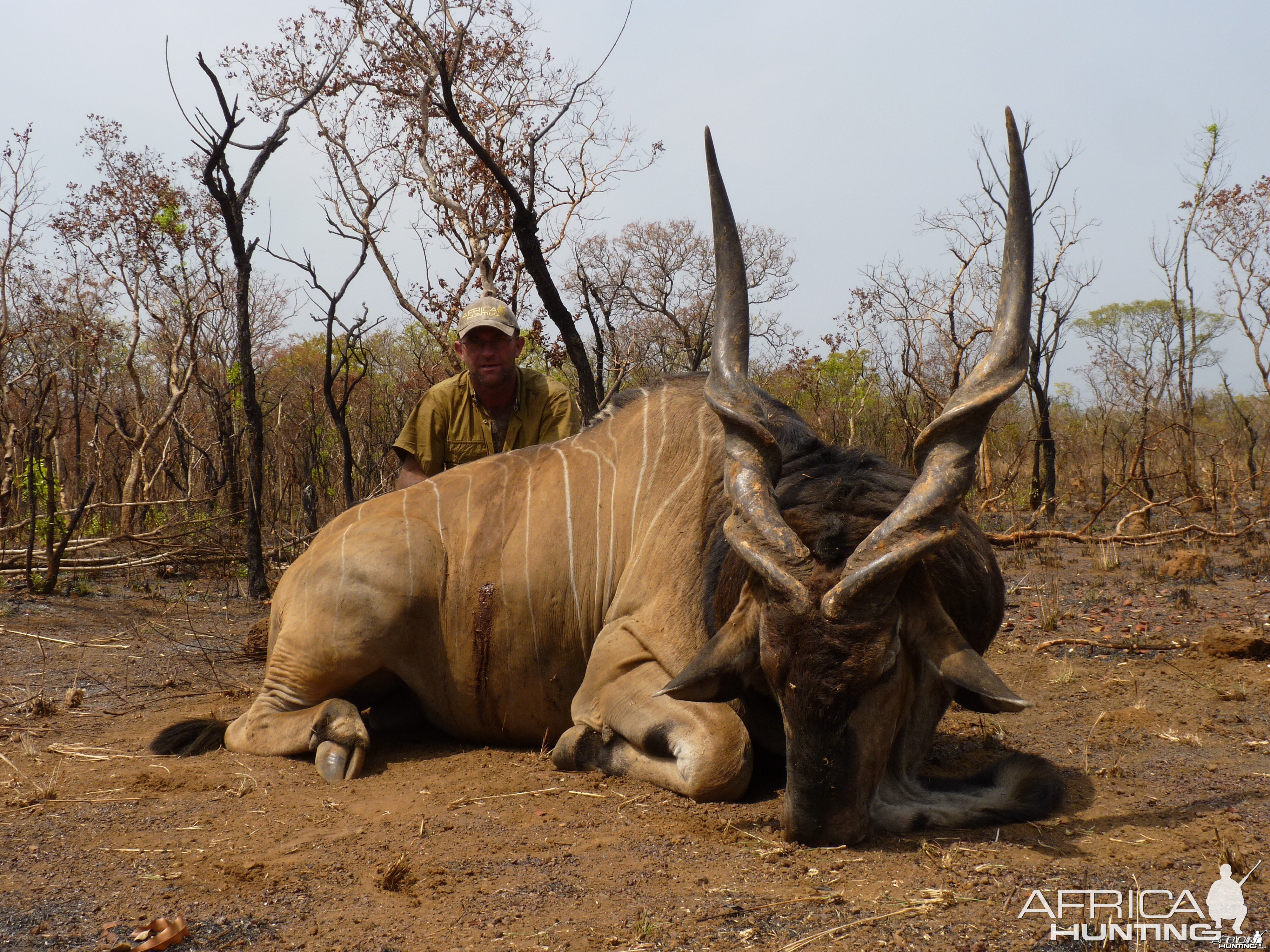 Lord Derby Eland hunted in Central African Republic