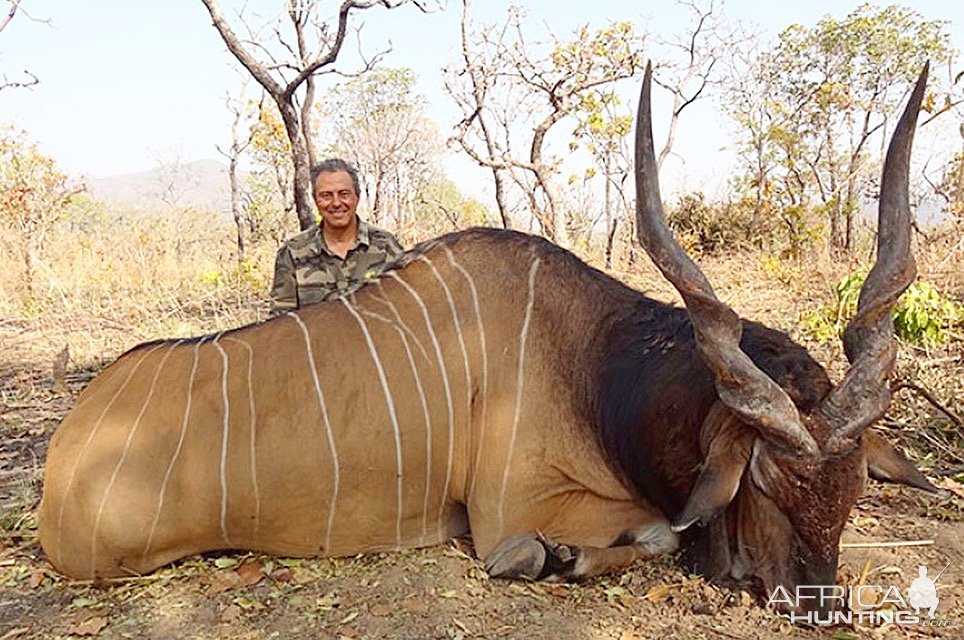 Lord Derby Eland Hunting Cameroon