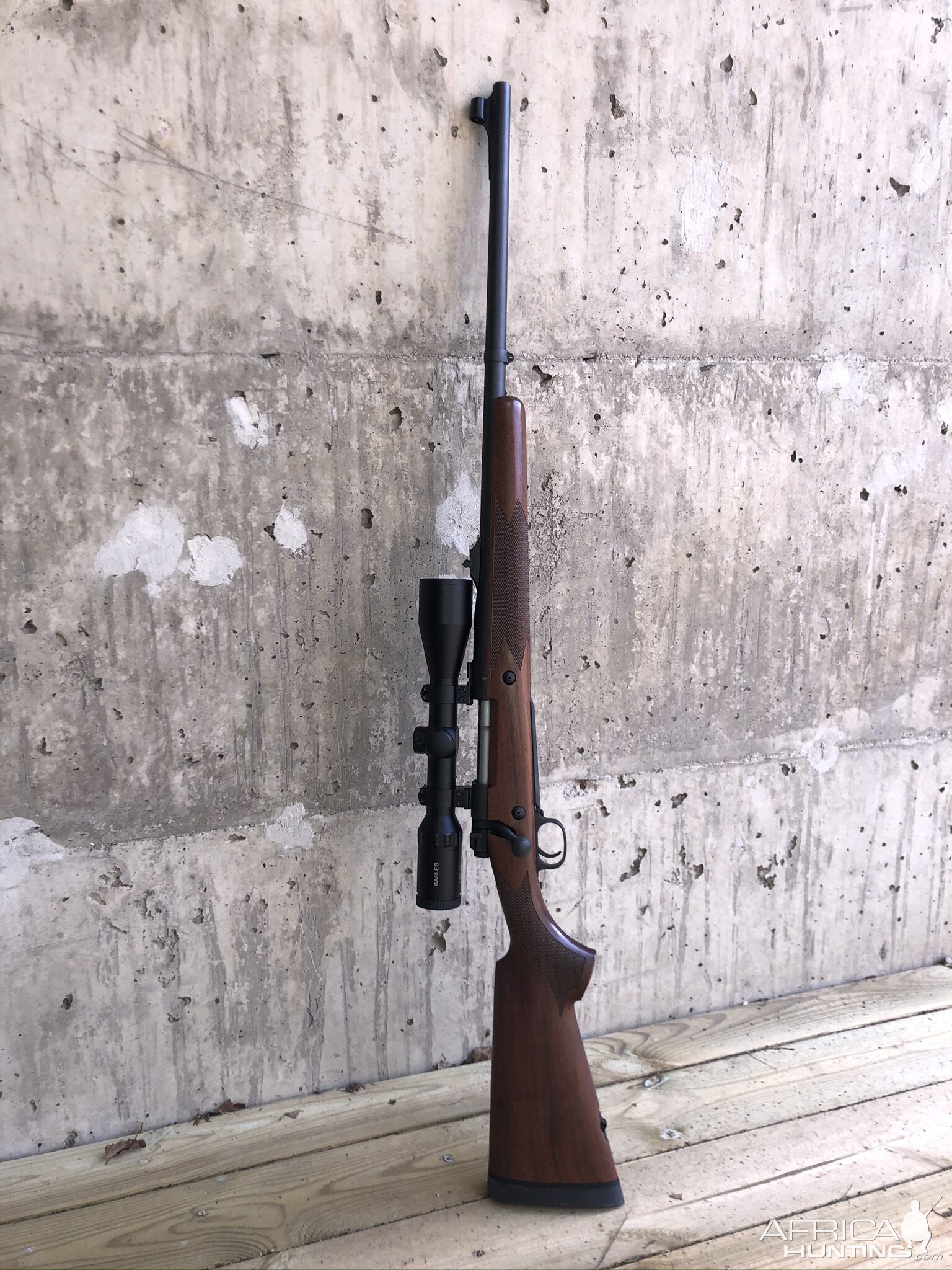 M70 375 H&H Rifle