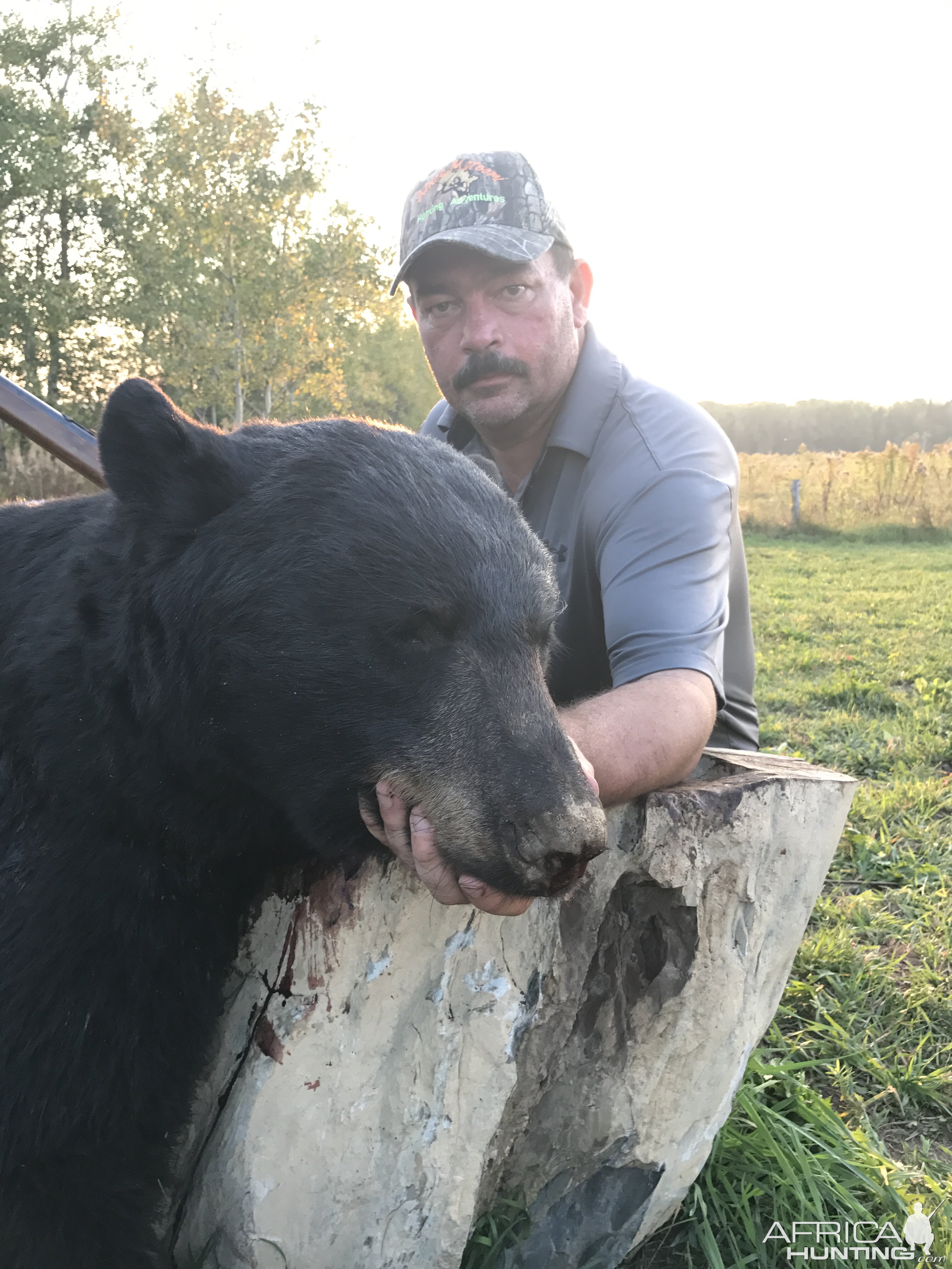 Maine Hunt Bear