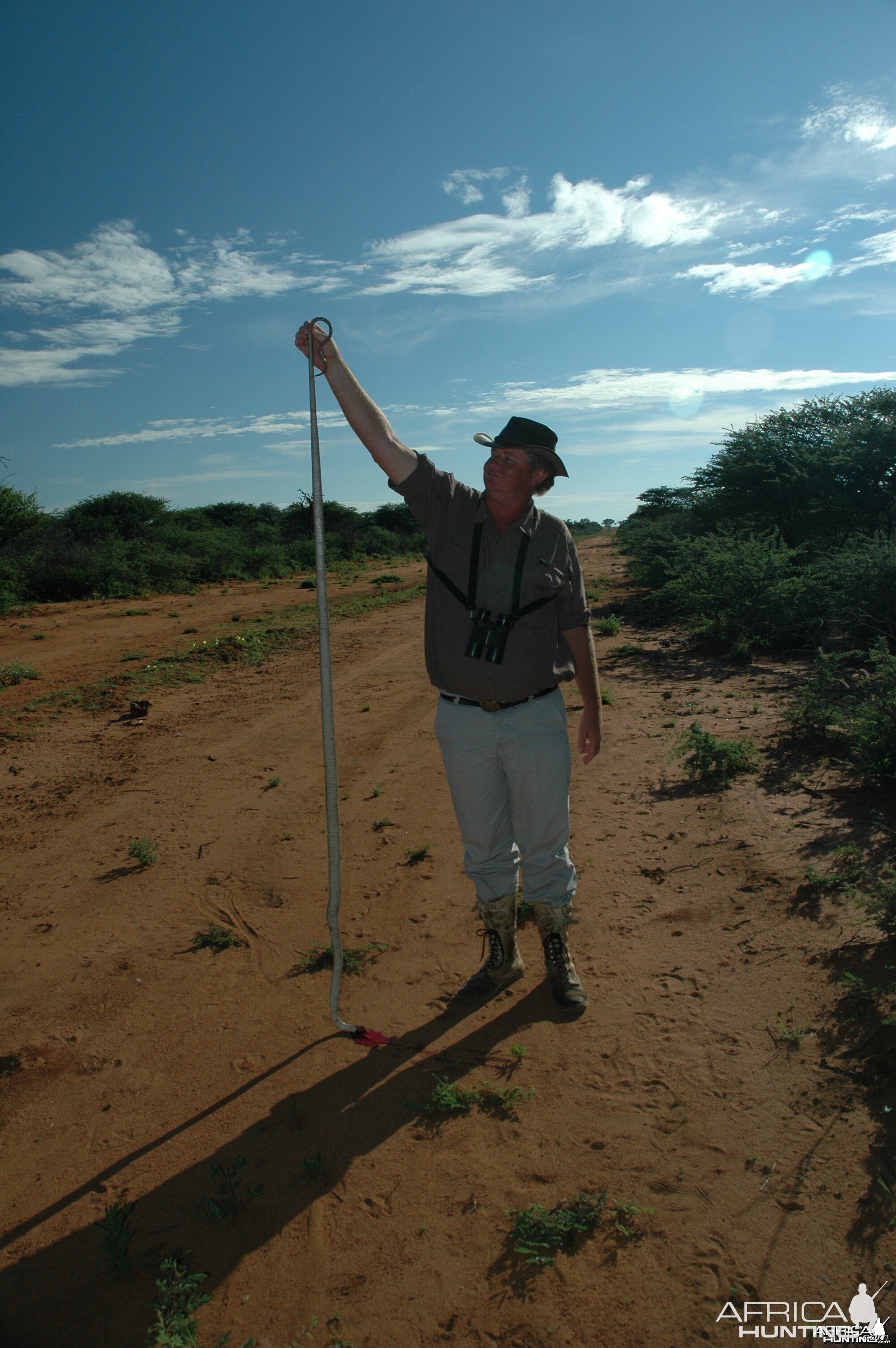 Mamba taken in Namibia