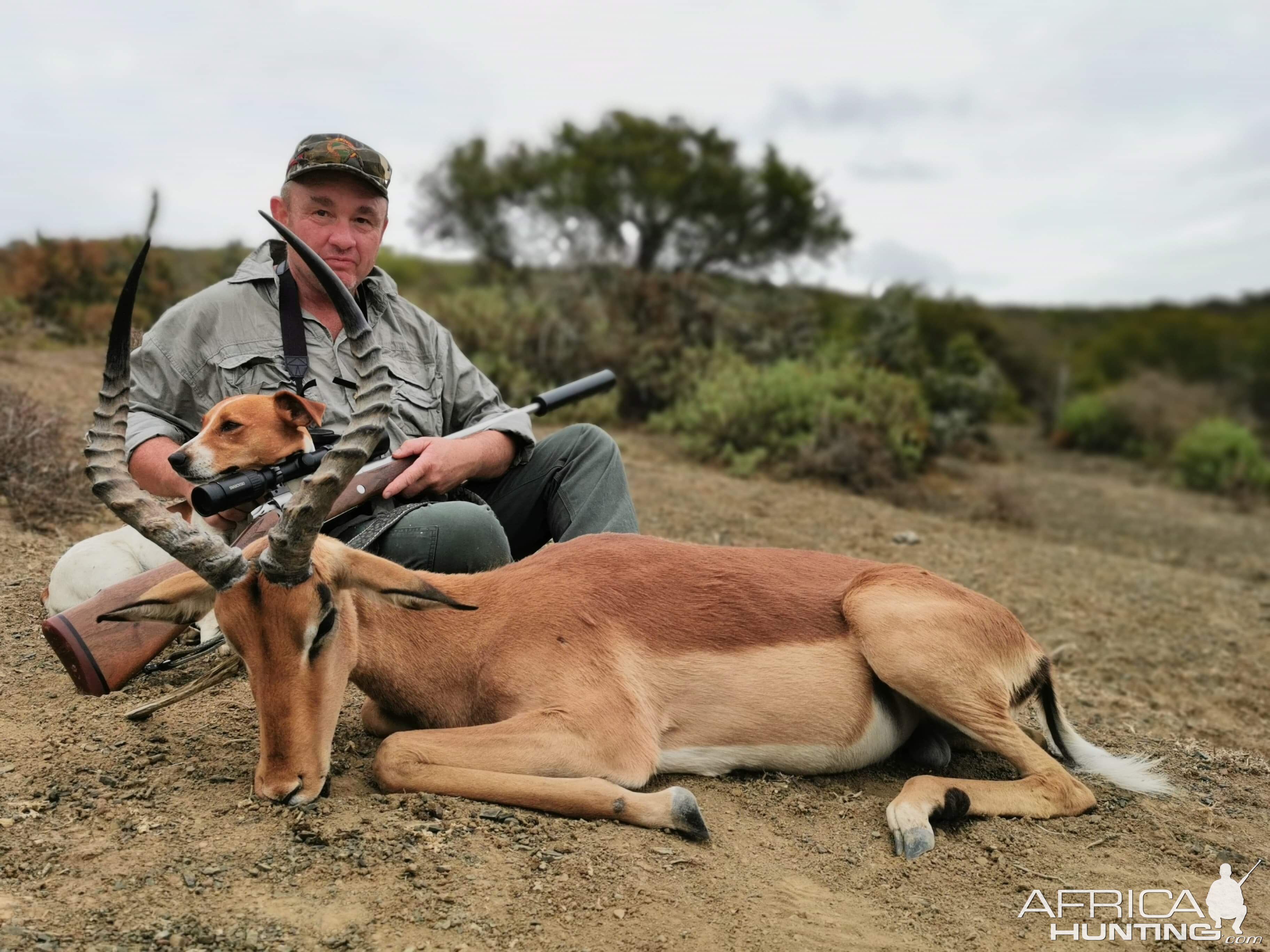 Management Hunt Impala in South Africa