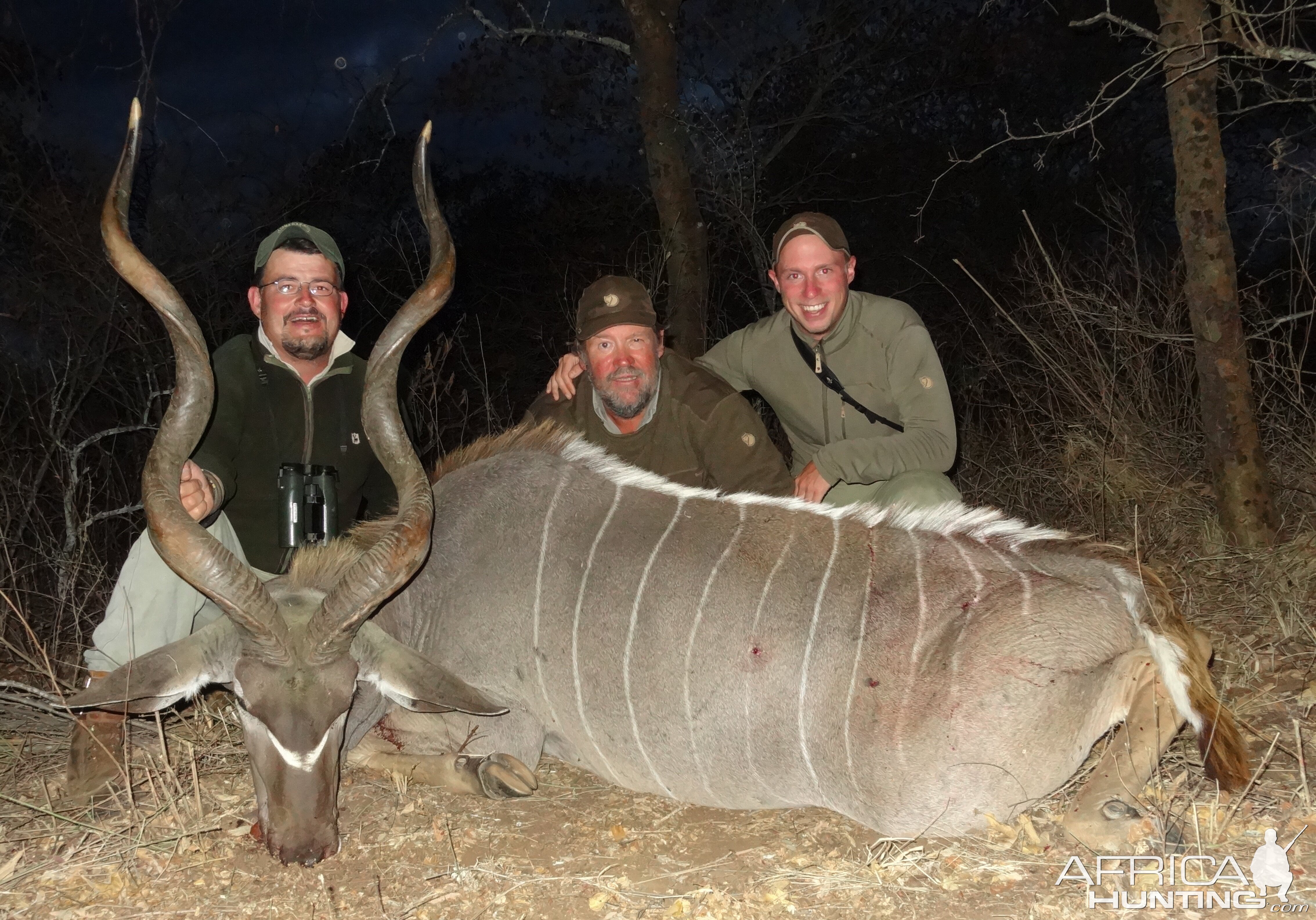 Masailand Greater Kudu