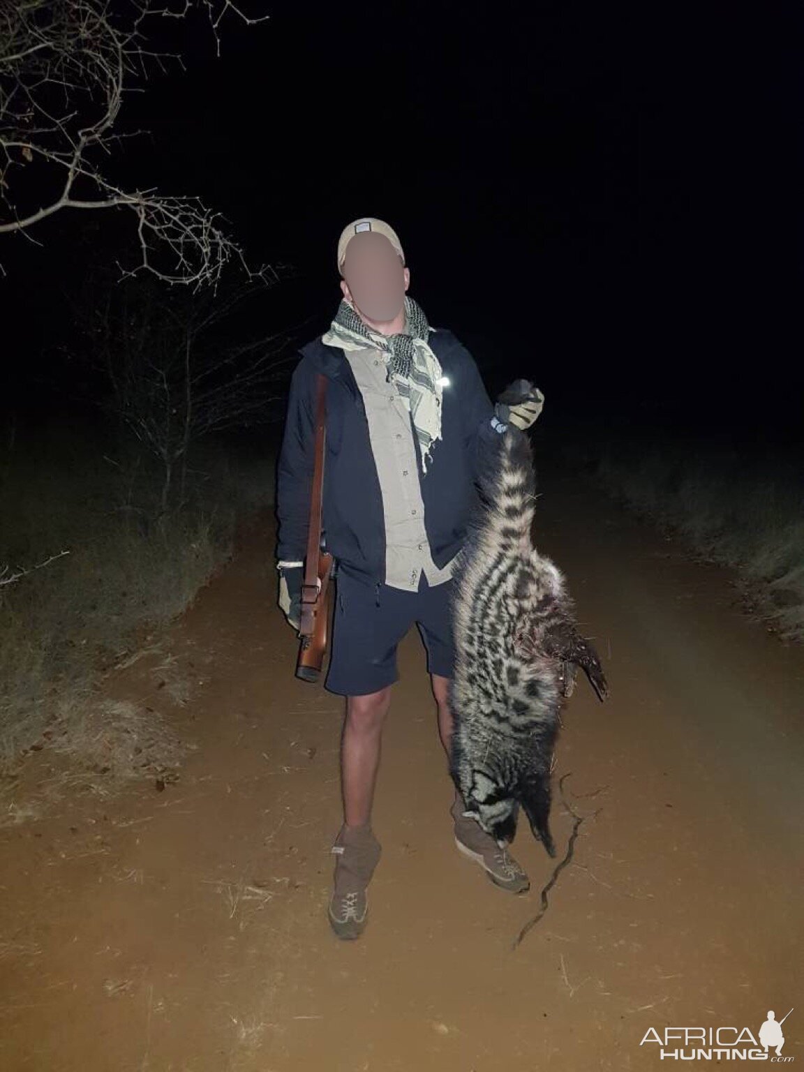 Matetsi Area Zimbabwe Hunt African Civet Cat