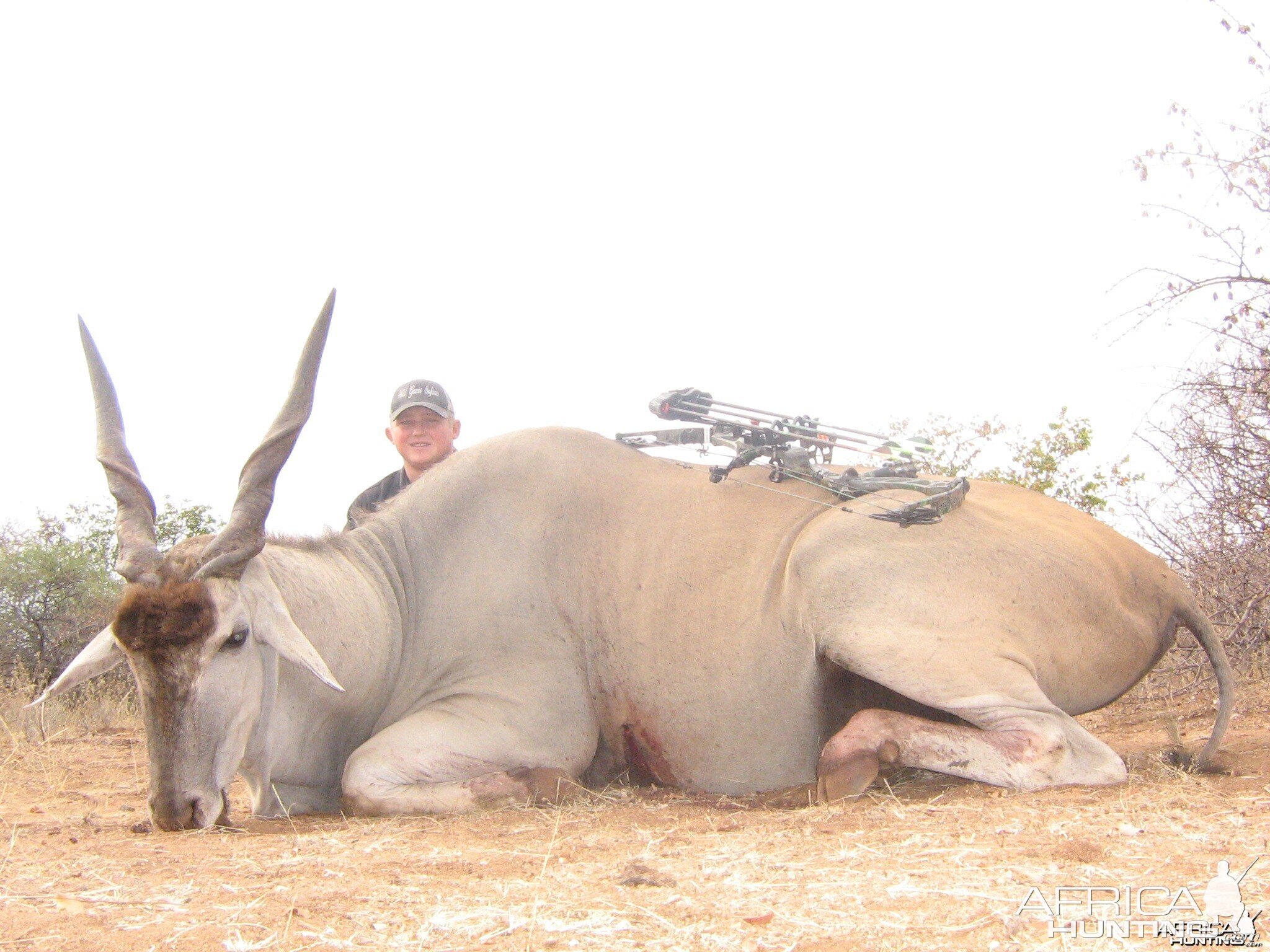 Matt Olsen Eland 2010