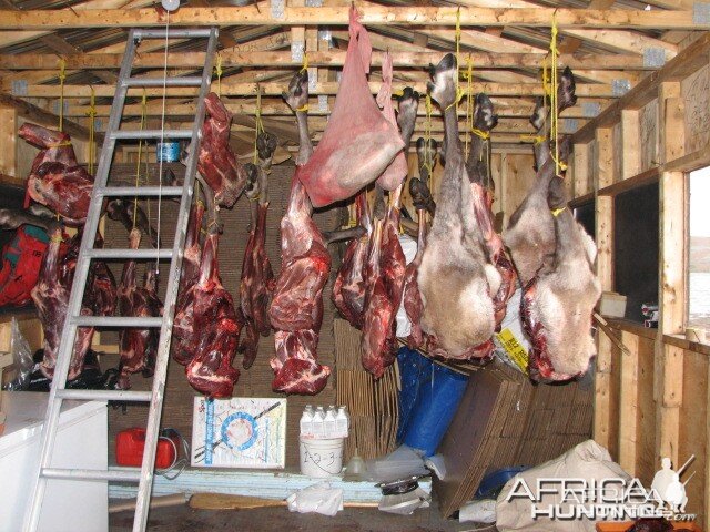 Meat Shed is Full