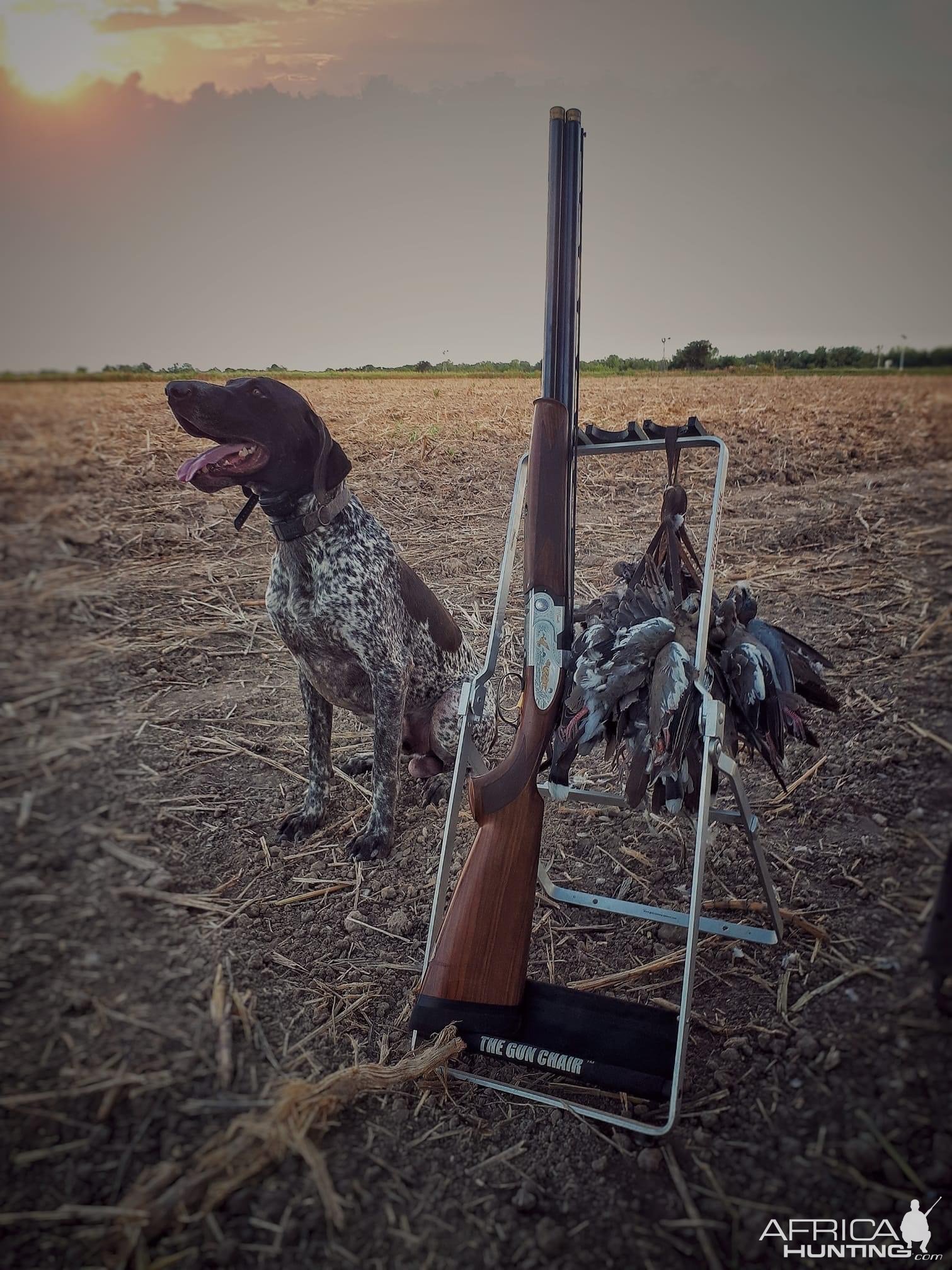 Mexico Bird Hunting