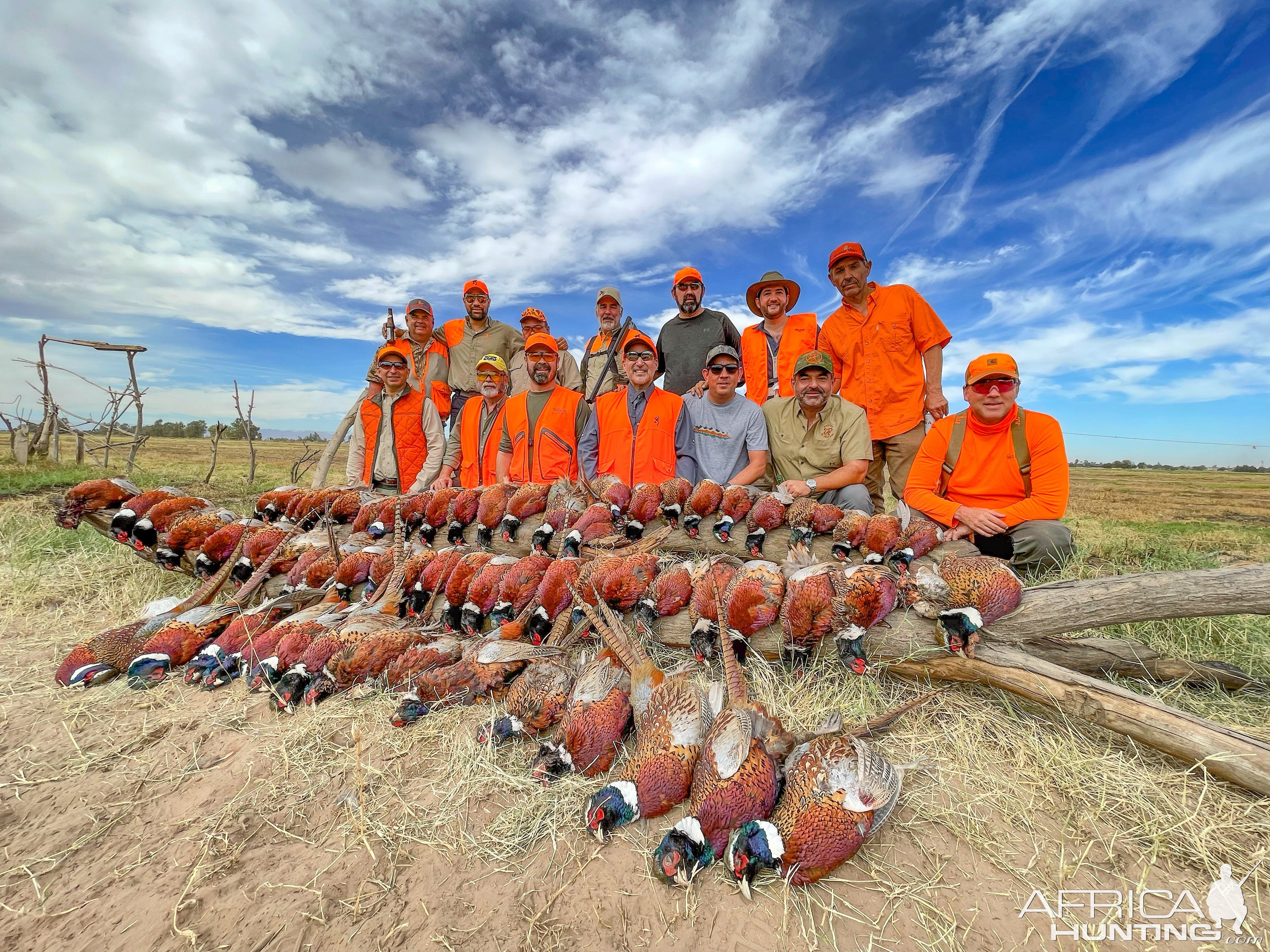 Mexico Bird Hunting