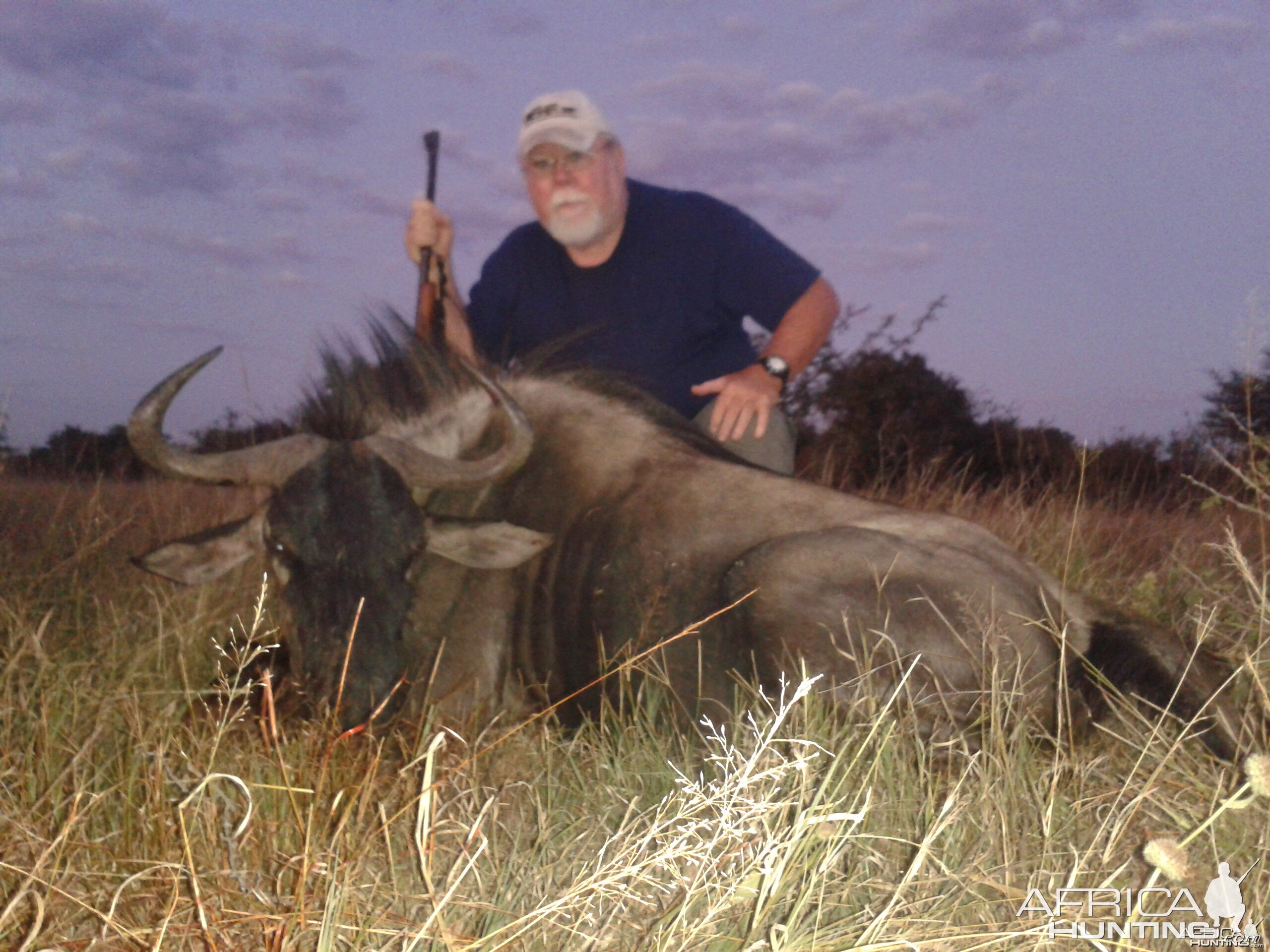 Mike's Blue wildebeest