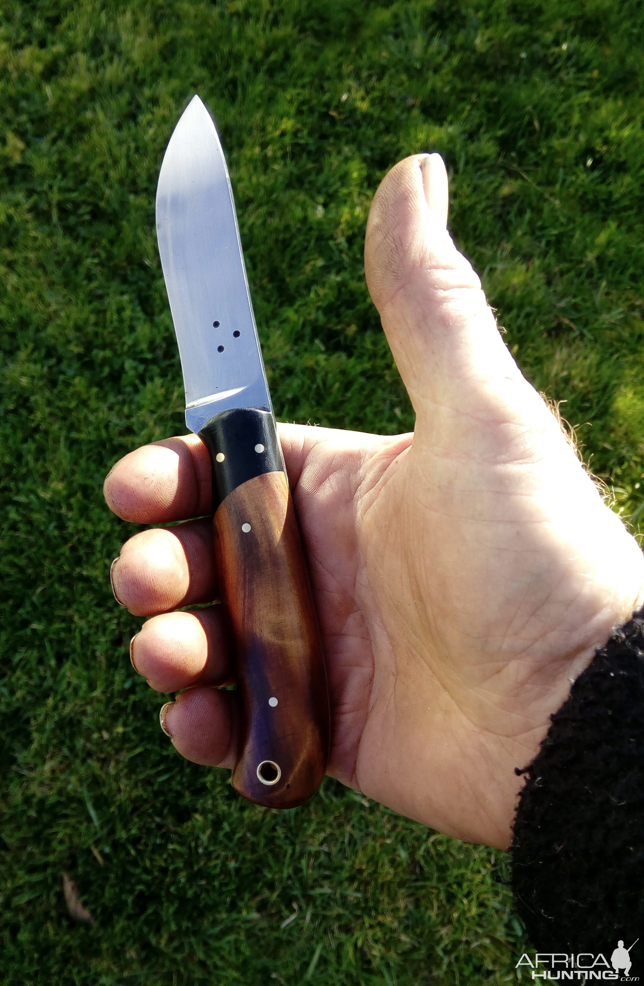 Mini Skinner Knife in Buffalo Horn and NZ Matai