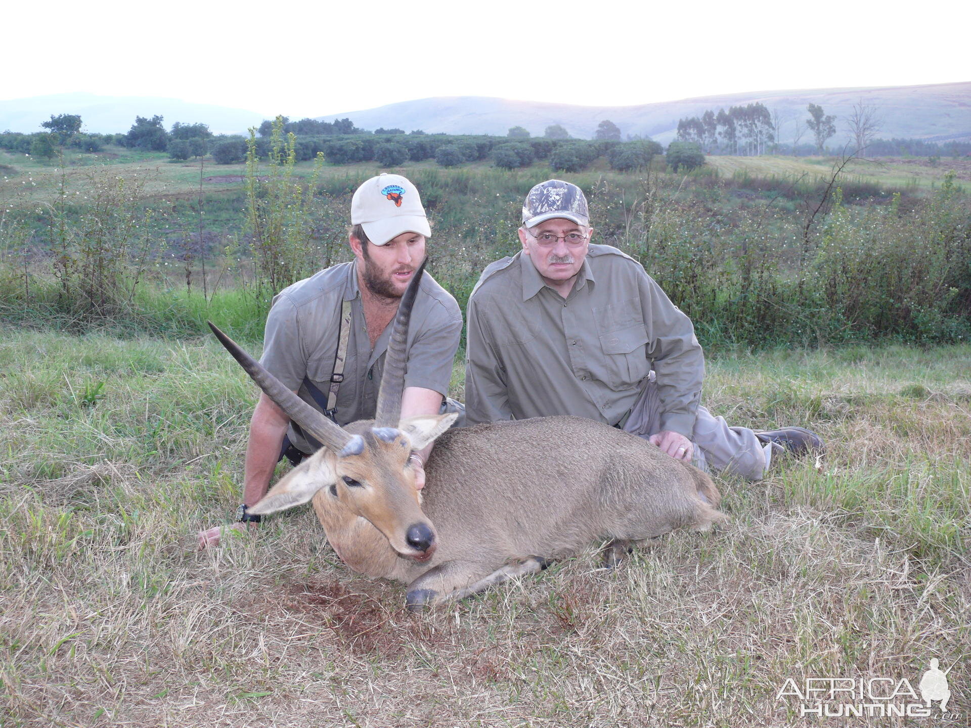 Monster Common Reedbuck Kwazulu-Natal Region