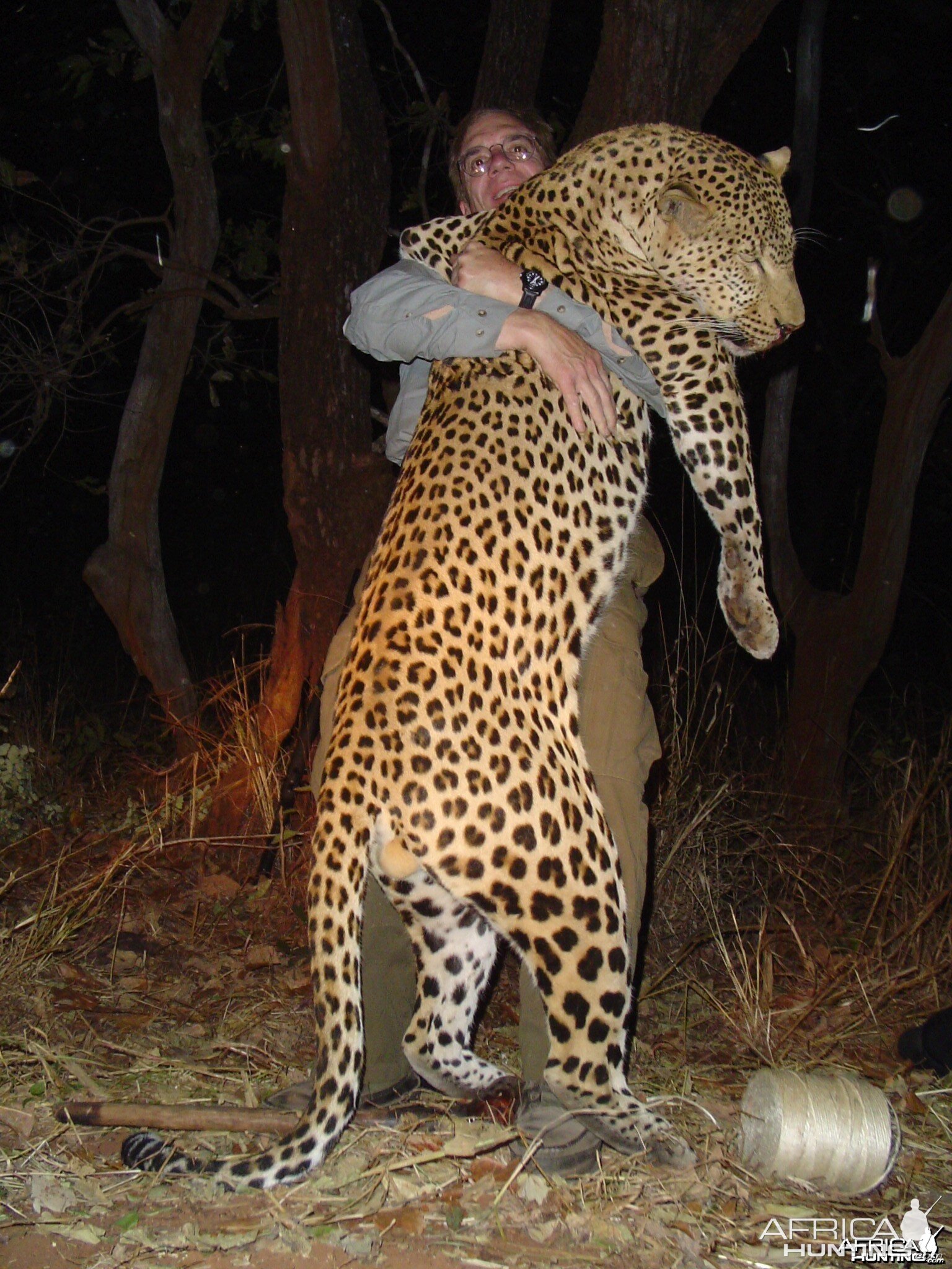 Monster Leopard hunted in Zambia with Prohunt Zambia | Hunting