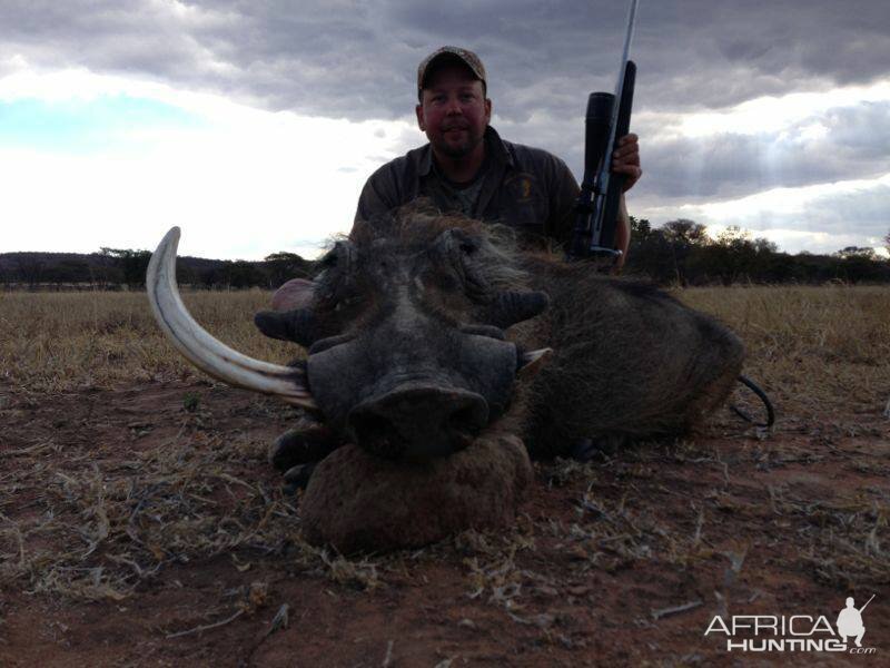 Monster Warthog