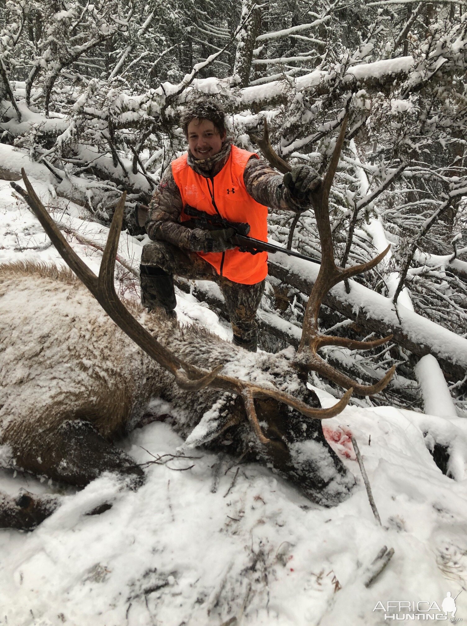 Montana USA Hunt Elk
