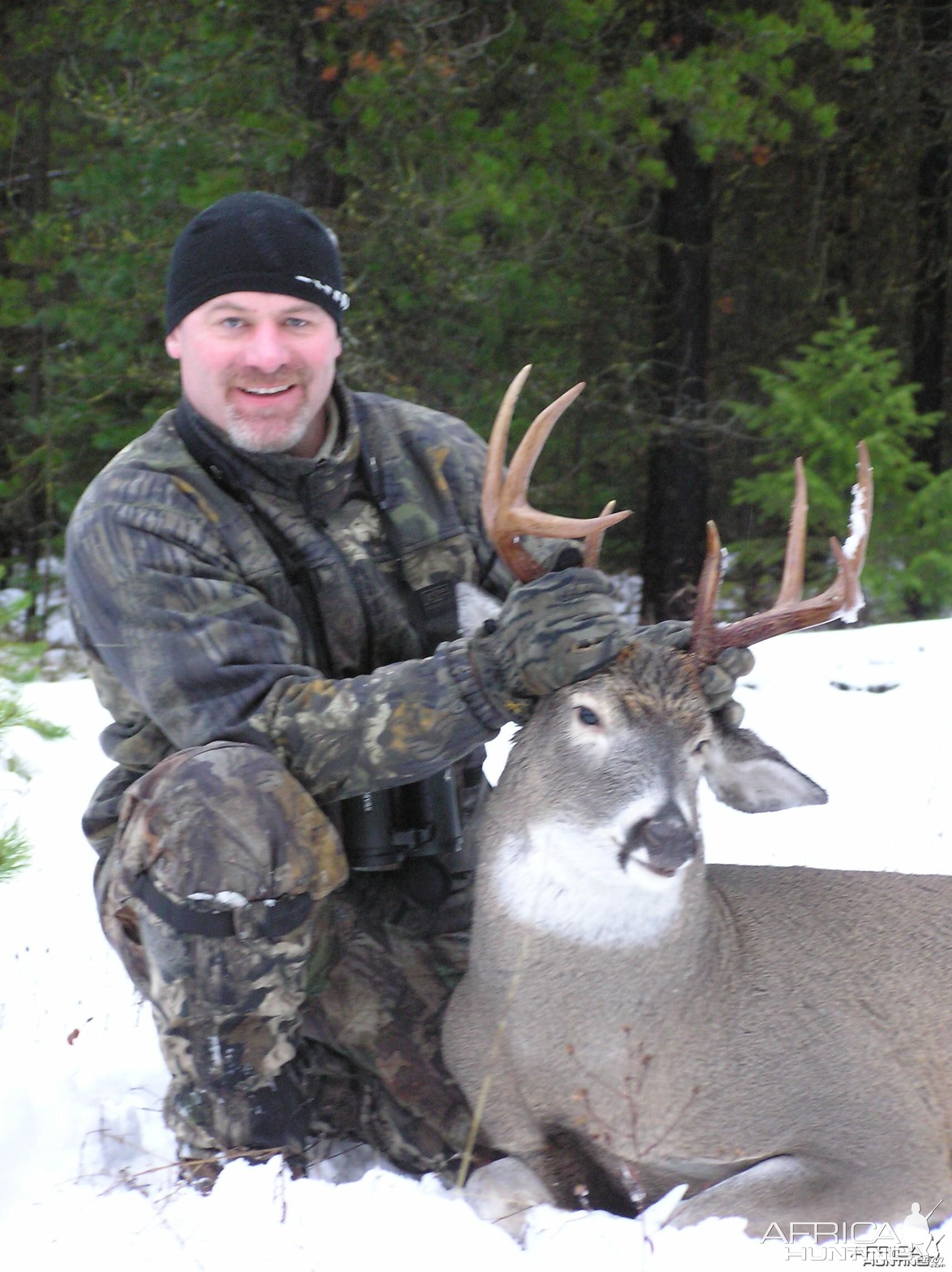 Montana Whitetail