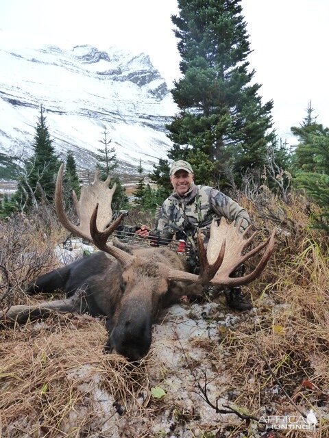 Moose Bow Hunt