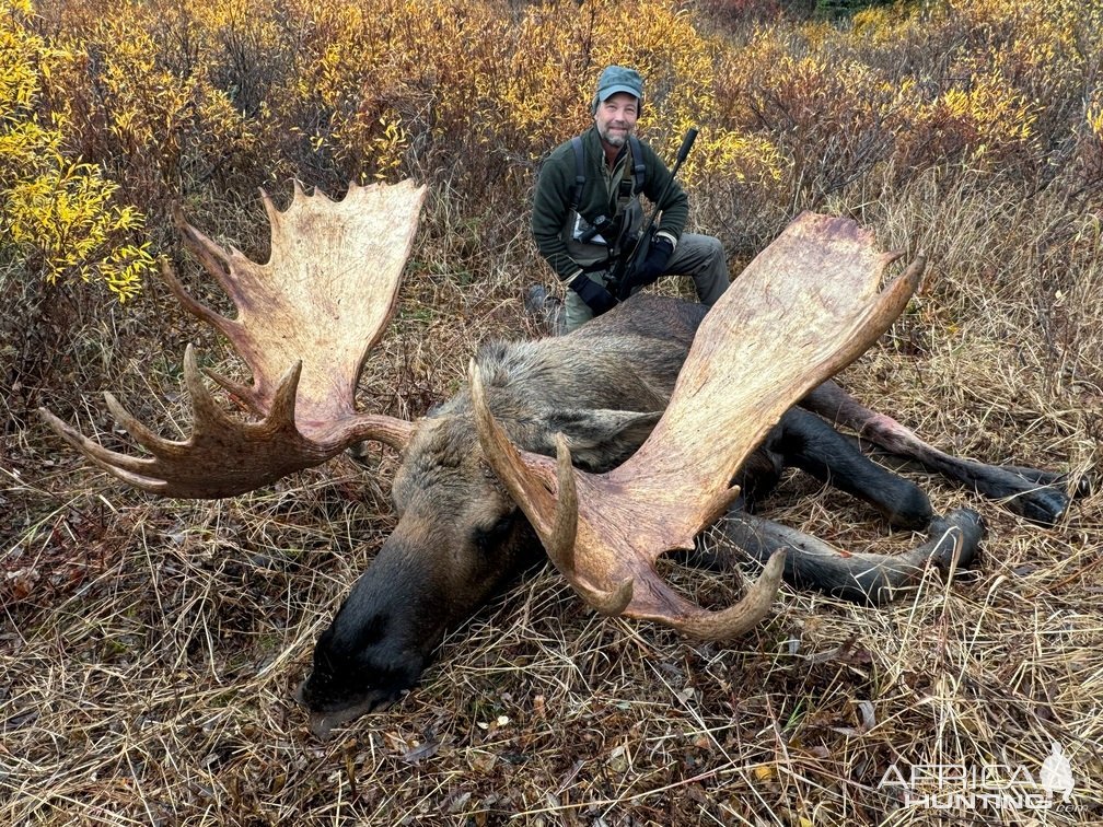 Moose Hunt Alaska