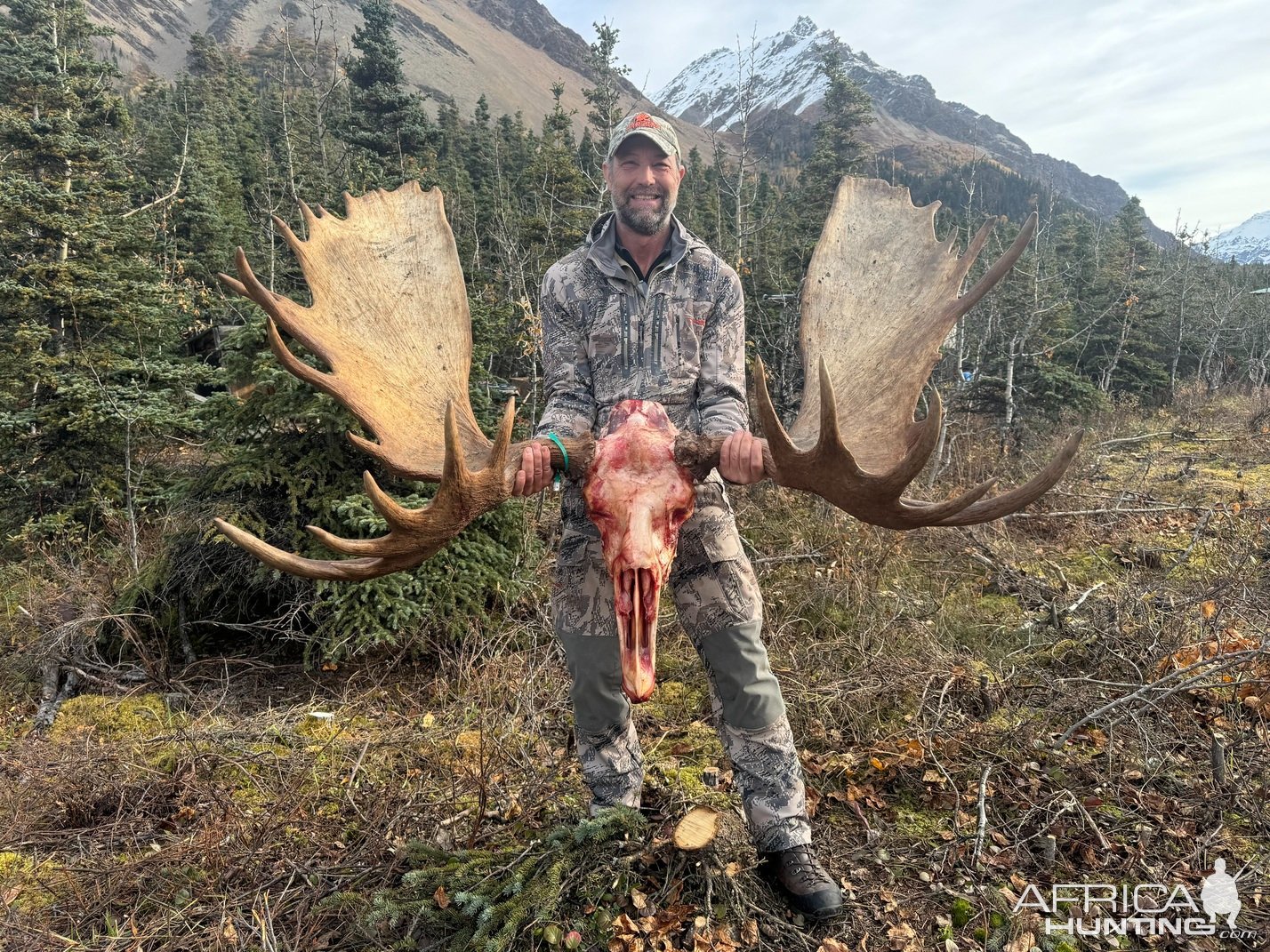 Moose Hunt Alaska